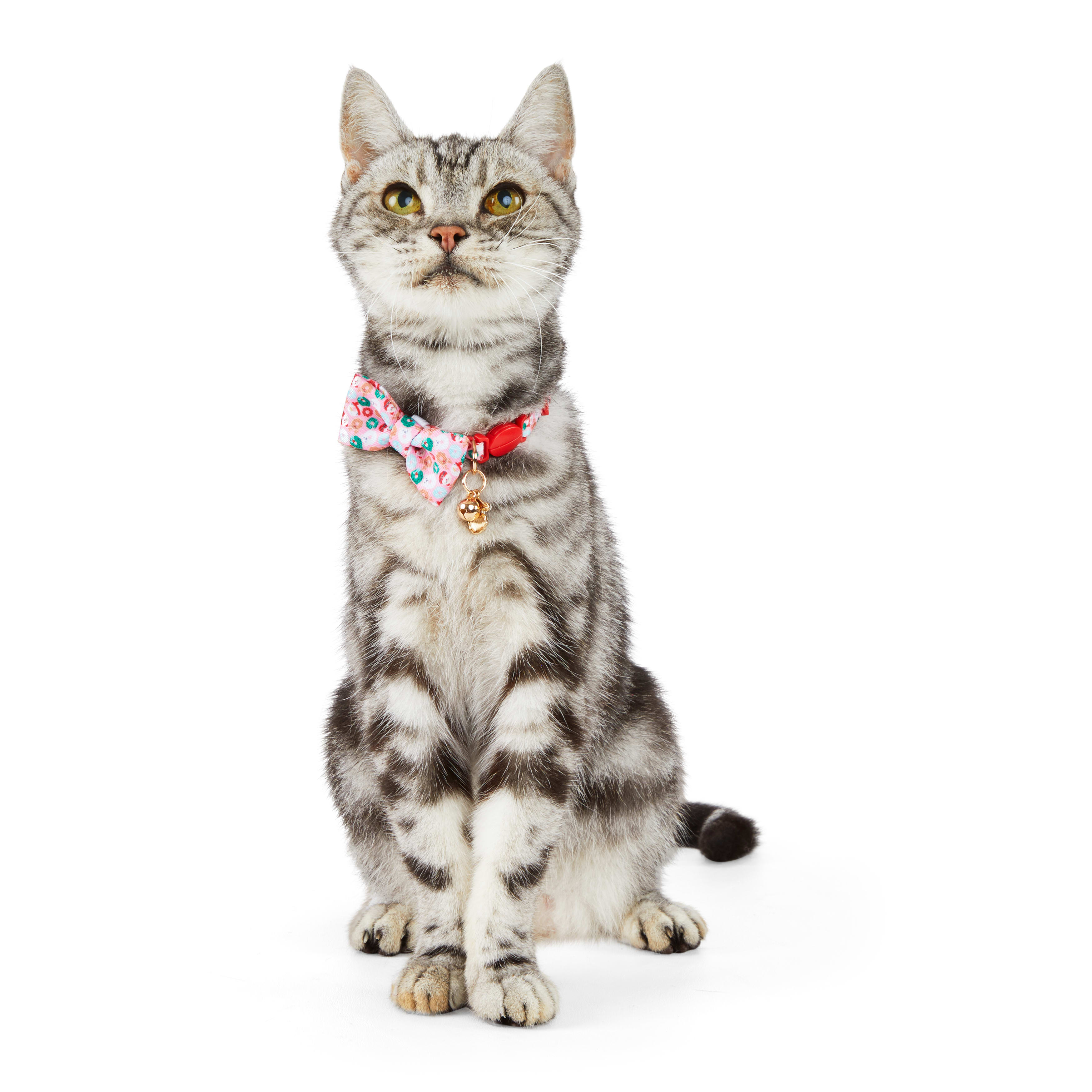 Merry Makings Drive Me Glazy Donut Printed Bowtie Kitten Collar X Small Petco