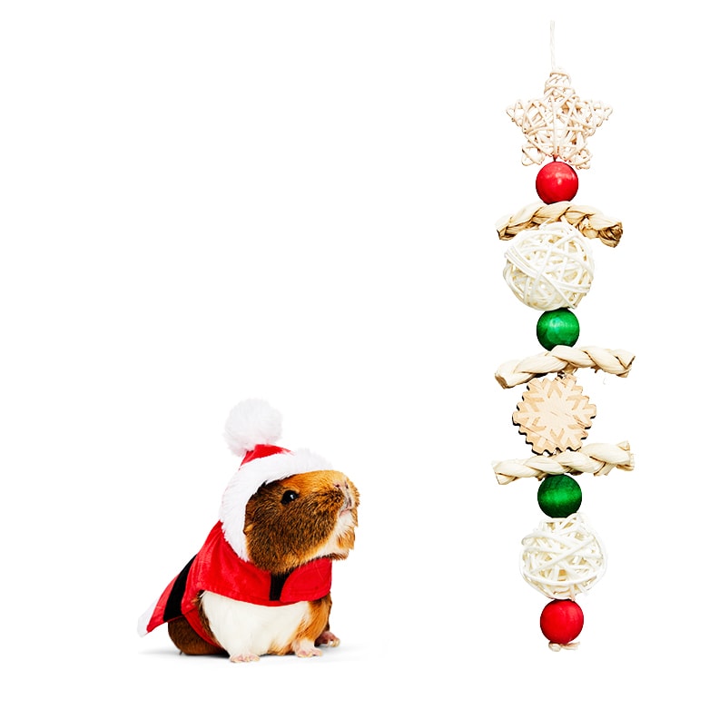 More and Merrier Secret Santa Guinea Pig Costume, Small, Red