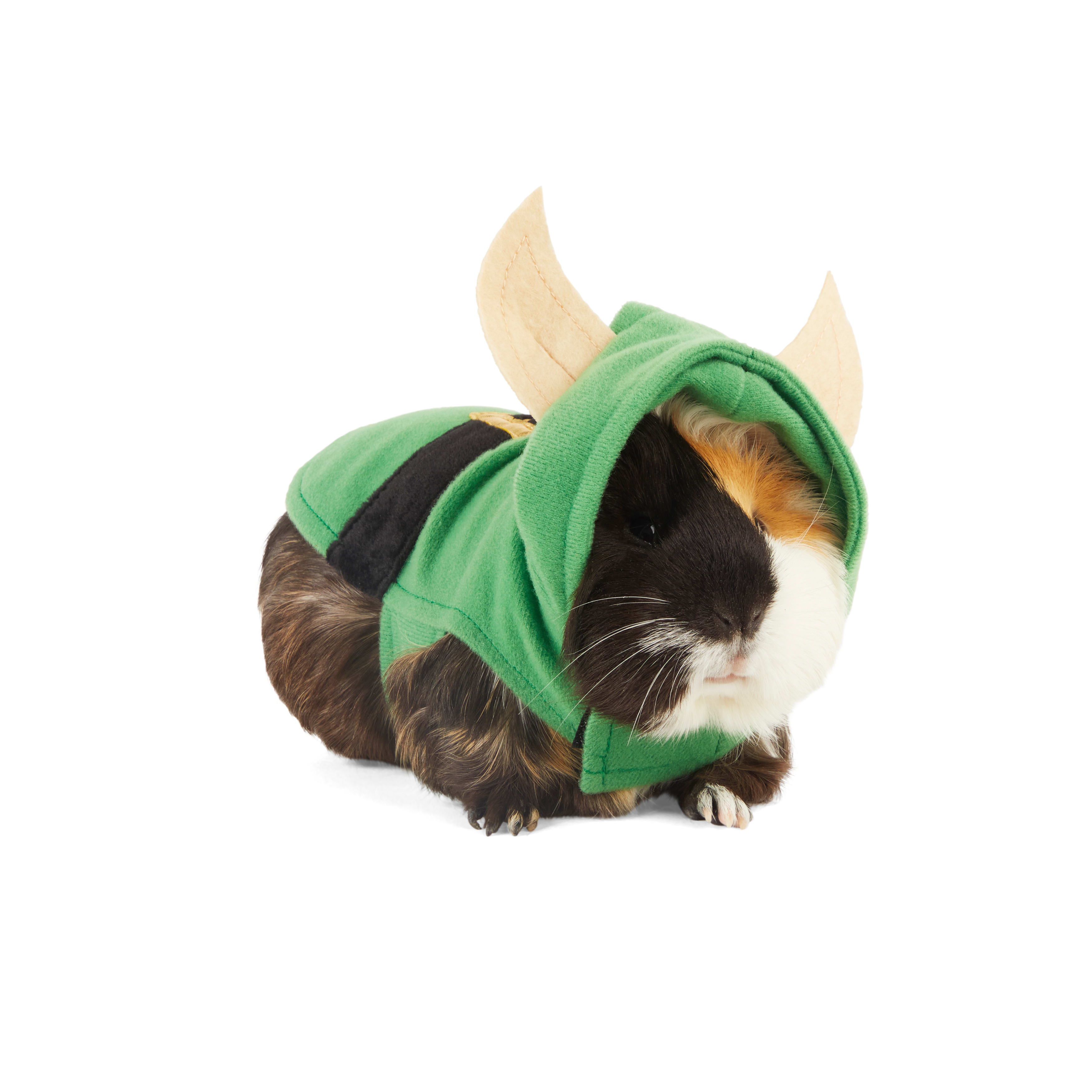 Elf Guinea Pig Costume Petco