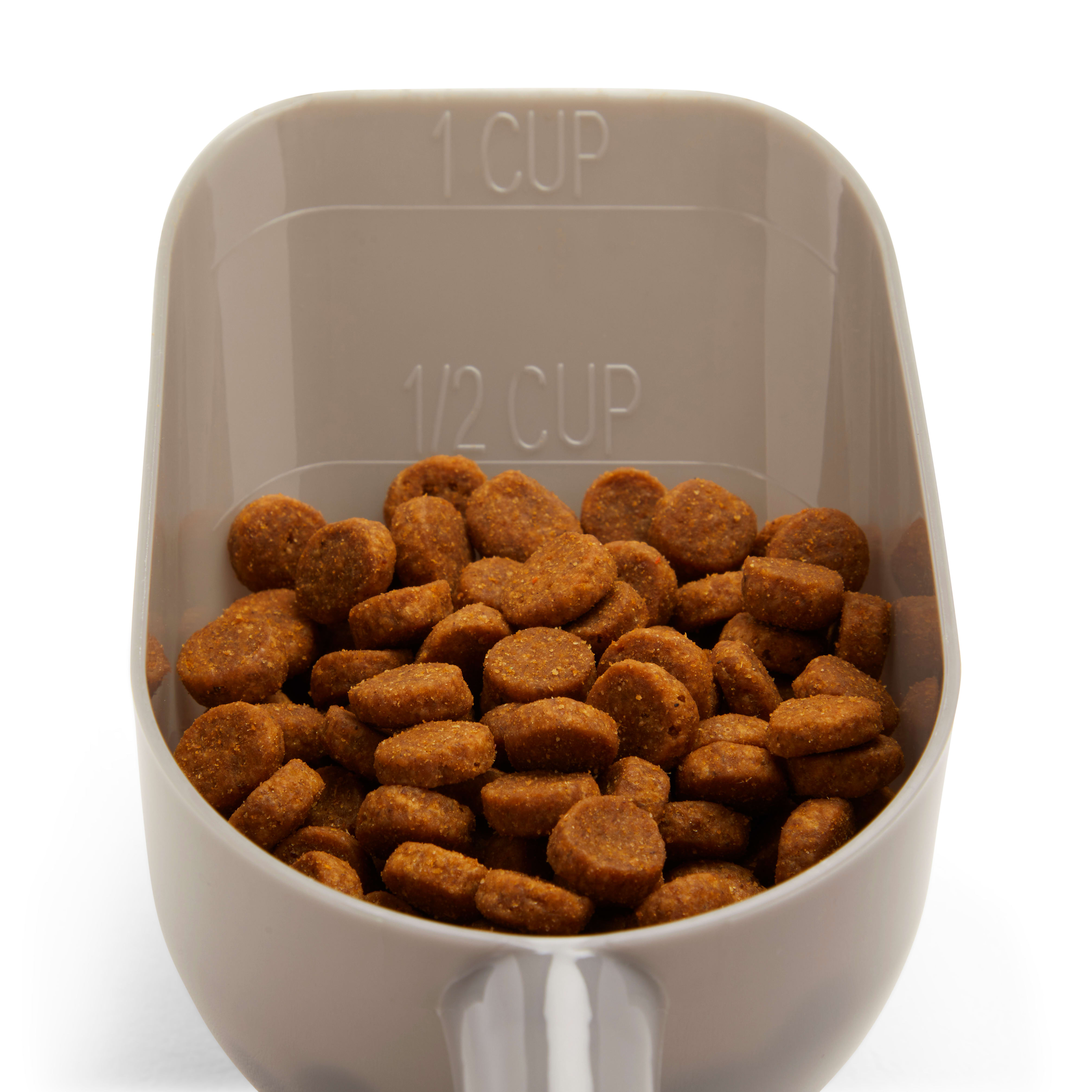 Pet Supplies : Van Ness Pureness 1-Cup Food Scoop - Assorted Colors (2  Pack) 