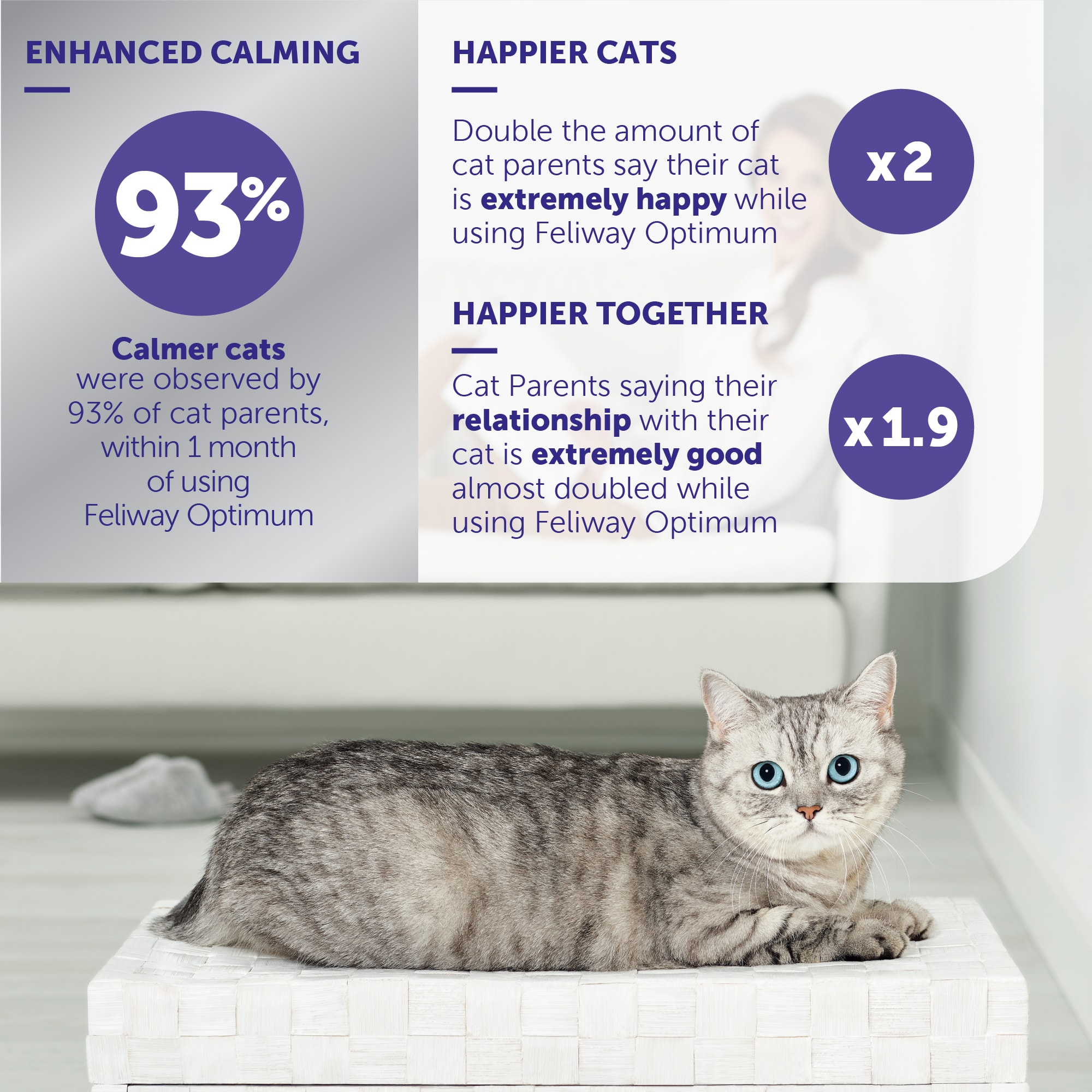 FELIWAY Optimum Cat, Enhanced Calming Pheromone Diffuser, 30 Day Starter  Kit (48 mL), Translucent