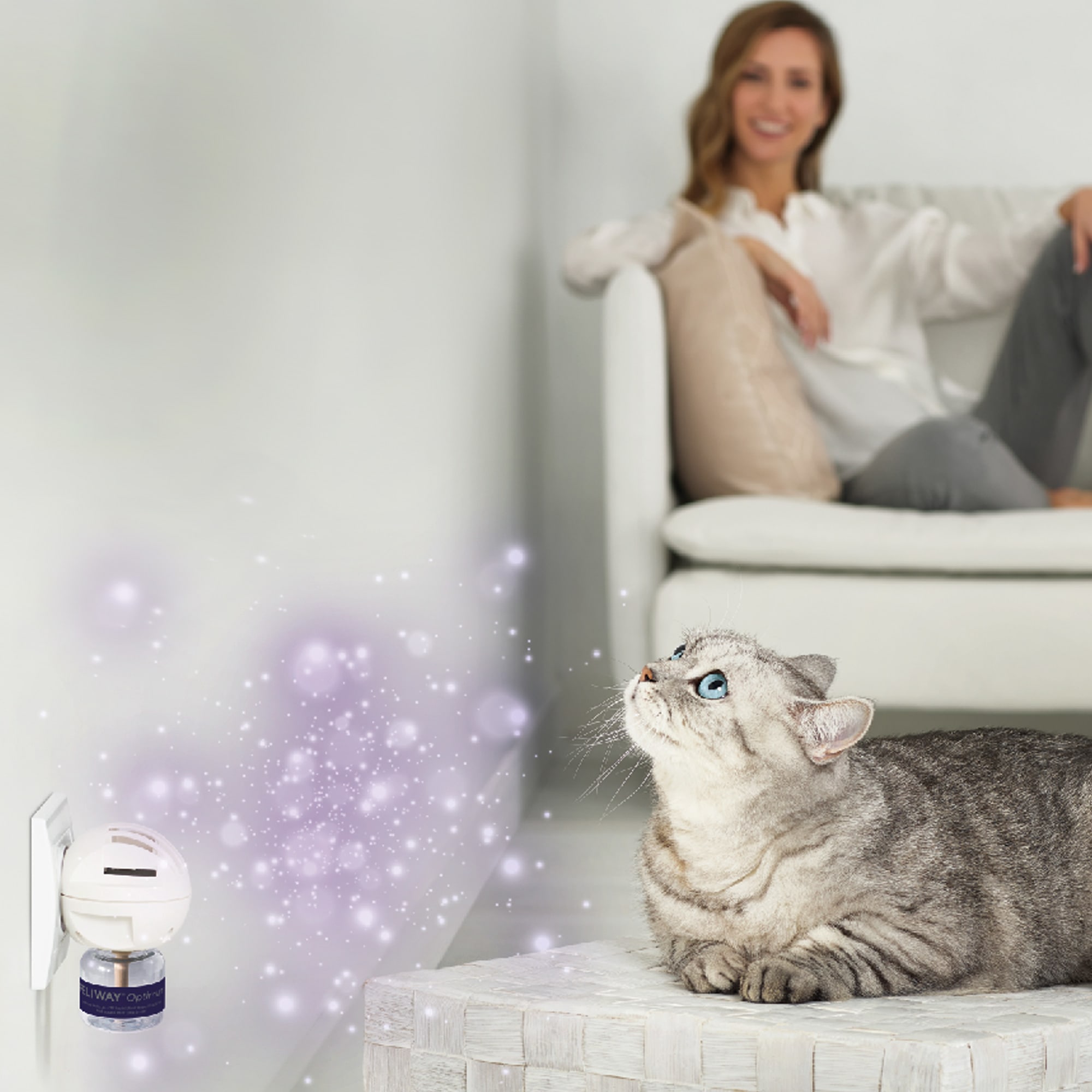 Feliway Optimum - Diffuser and Refill 48 ml - 30 Days - Stress & Conflict -  CEVA - Products-Veto.com