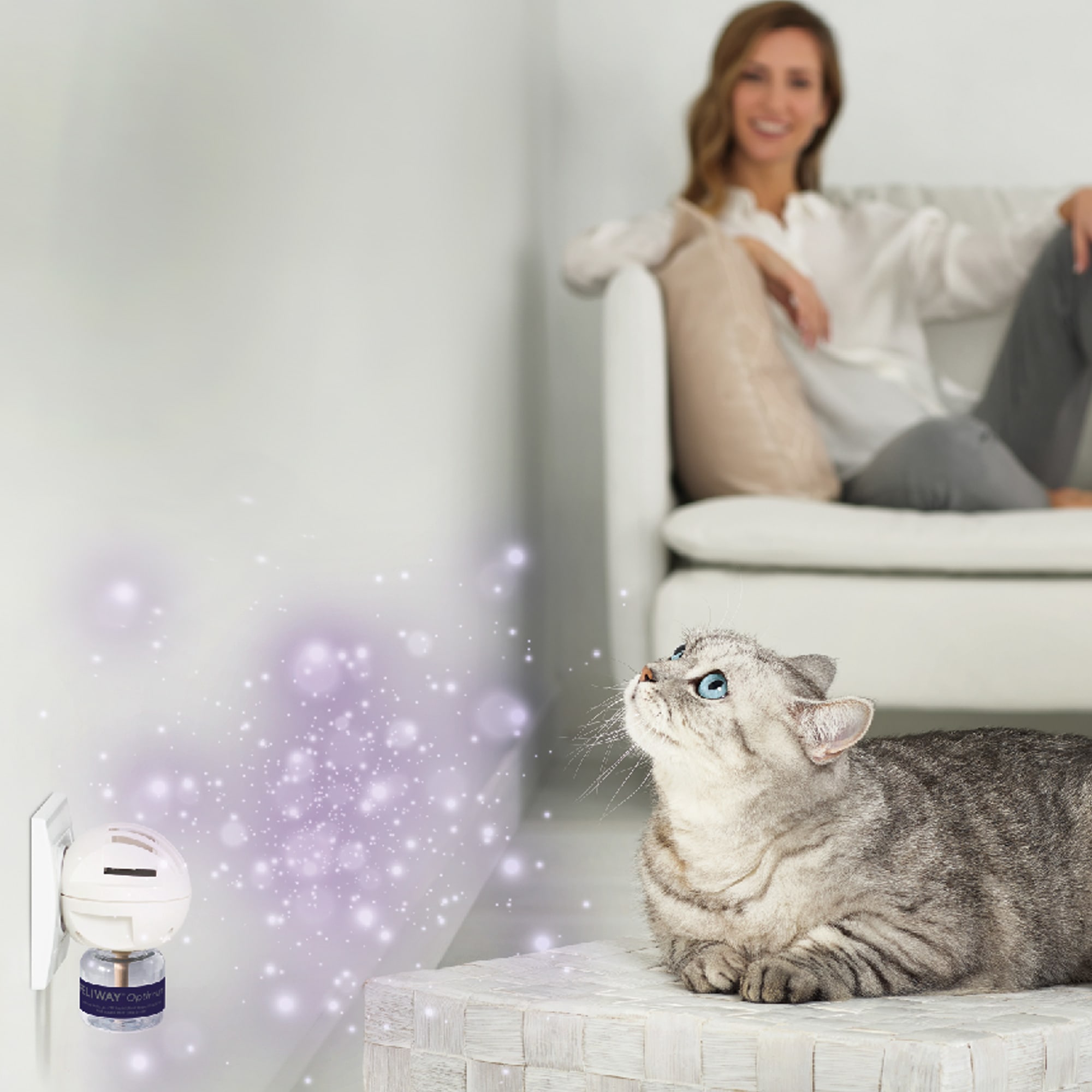 A BRAND NEW FELIWAY!, A BRAND NEW FELIWAY! Introducing FELIWAY Optimum  which is proven to calm cats better than ever before! Enhances serenity and  helps avoid all common, By VioVet