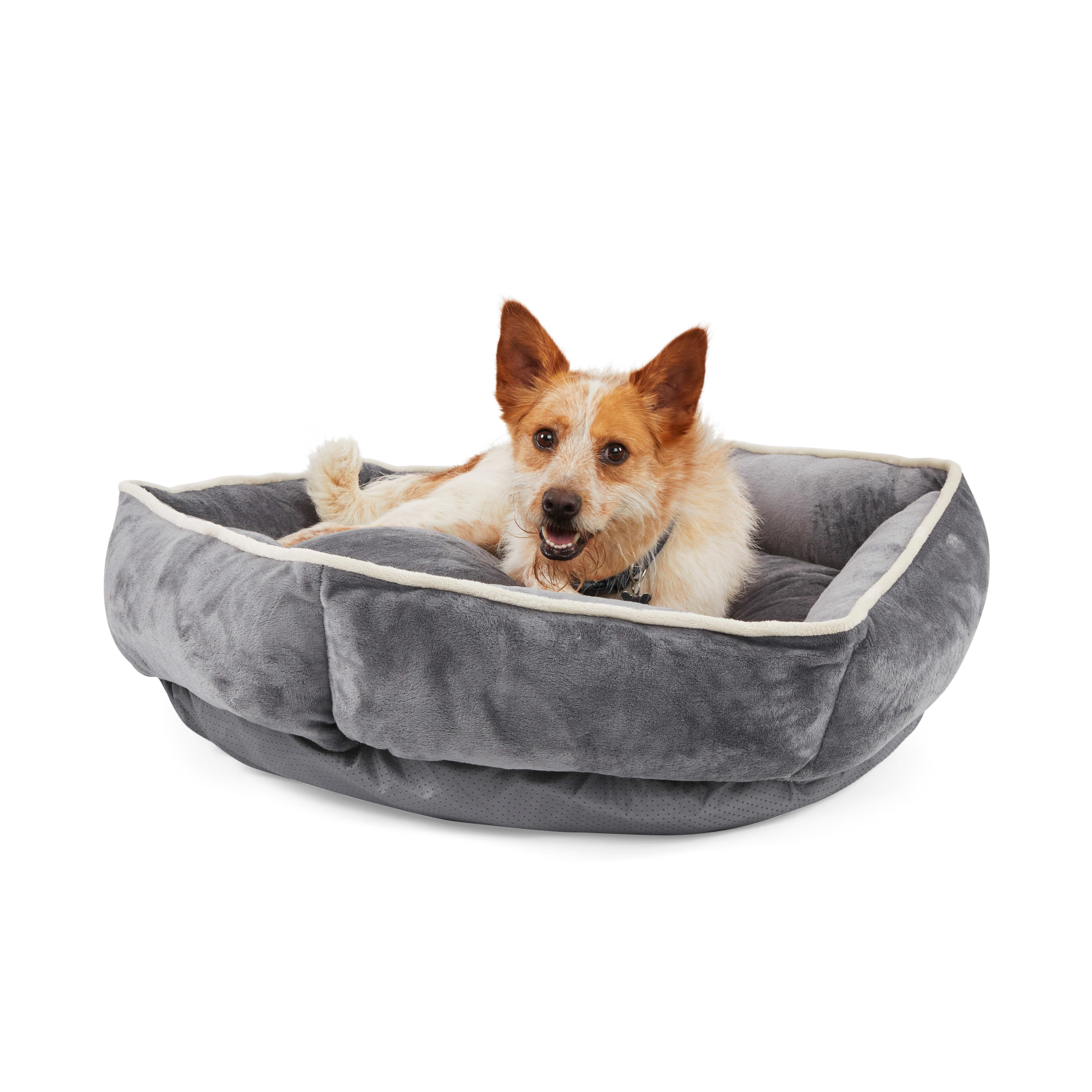 EveryYay Essentials Snooze Fest Grey Round Snuggler Dog Bed, 36