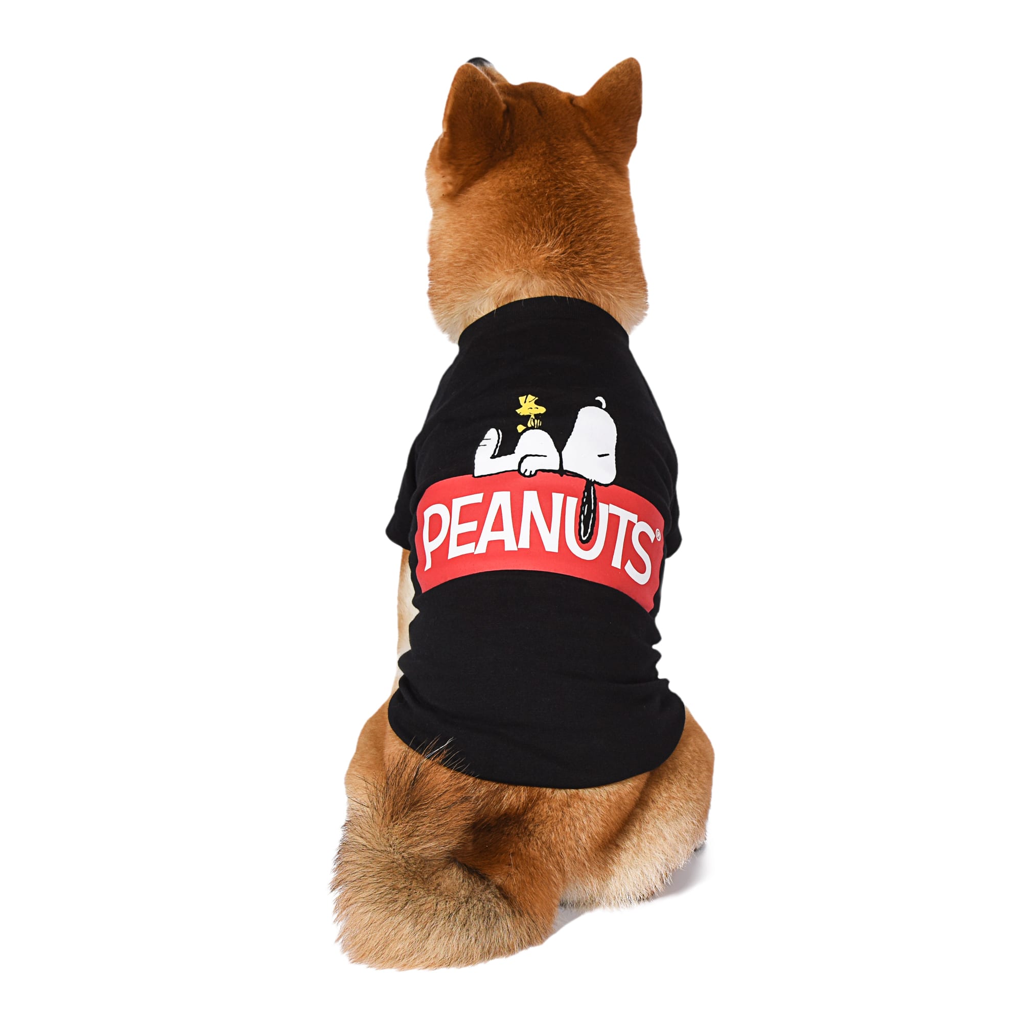 Large Dog T Shirts atelieryuwa.ciao.jp