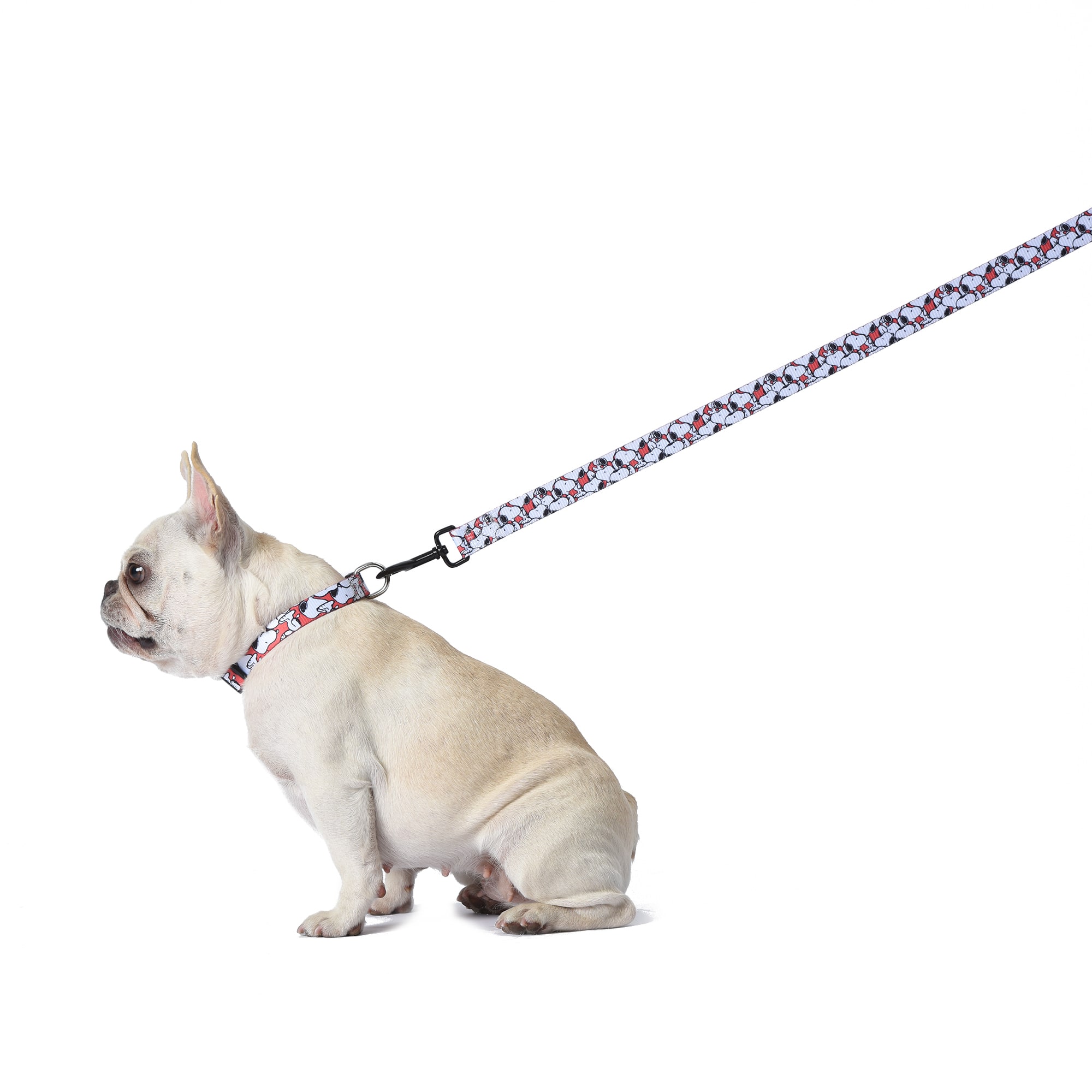 Fetch For Pets Peanuts Red Snoopy Dog Leash 6 Ft Petco