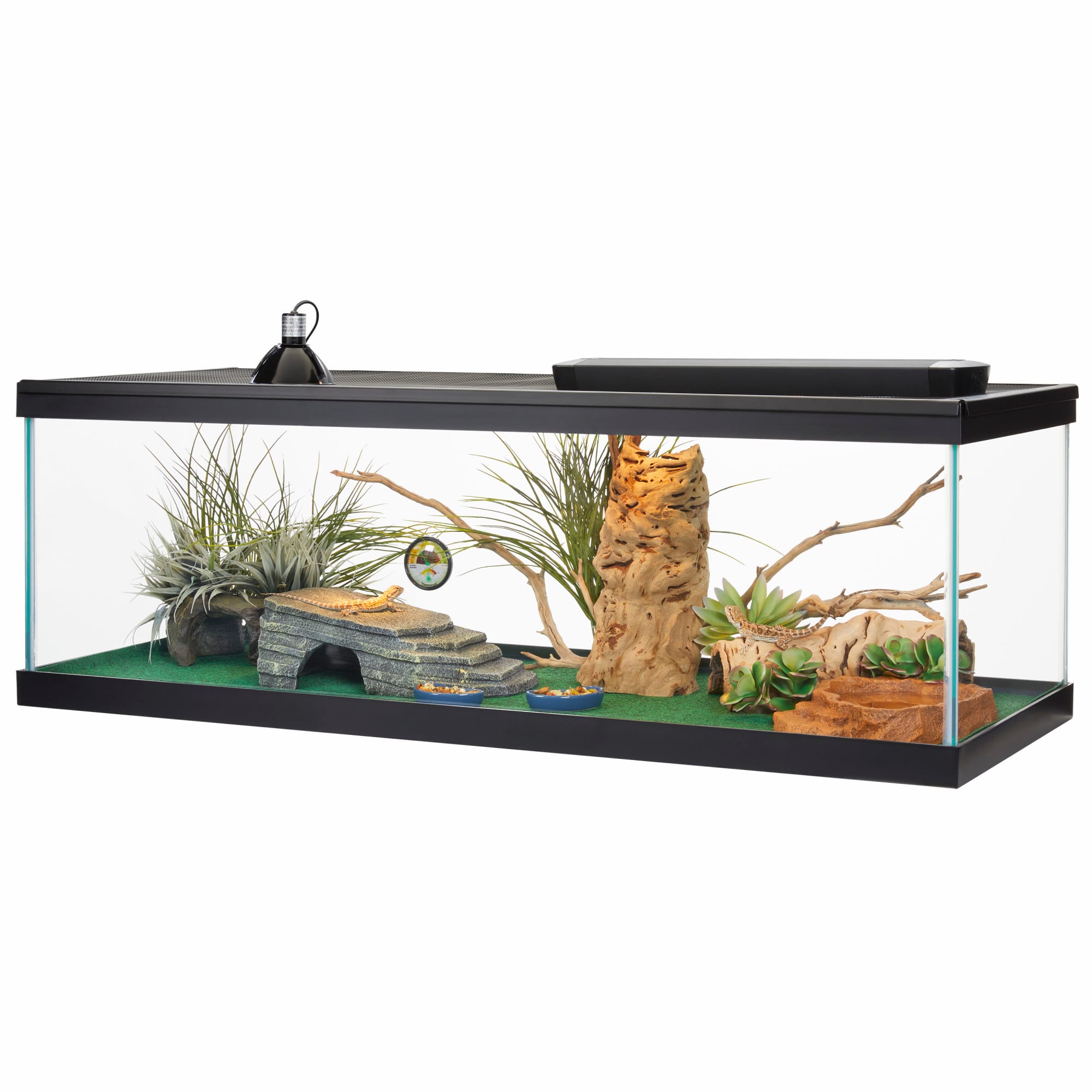 Aqueon Standard Open-Glass Glass Aquarium Tank, 60 Gallon