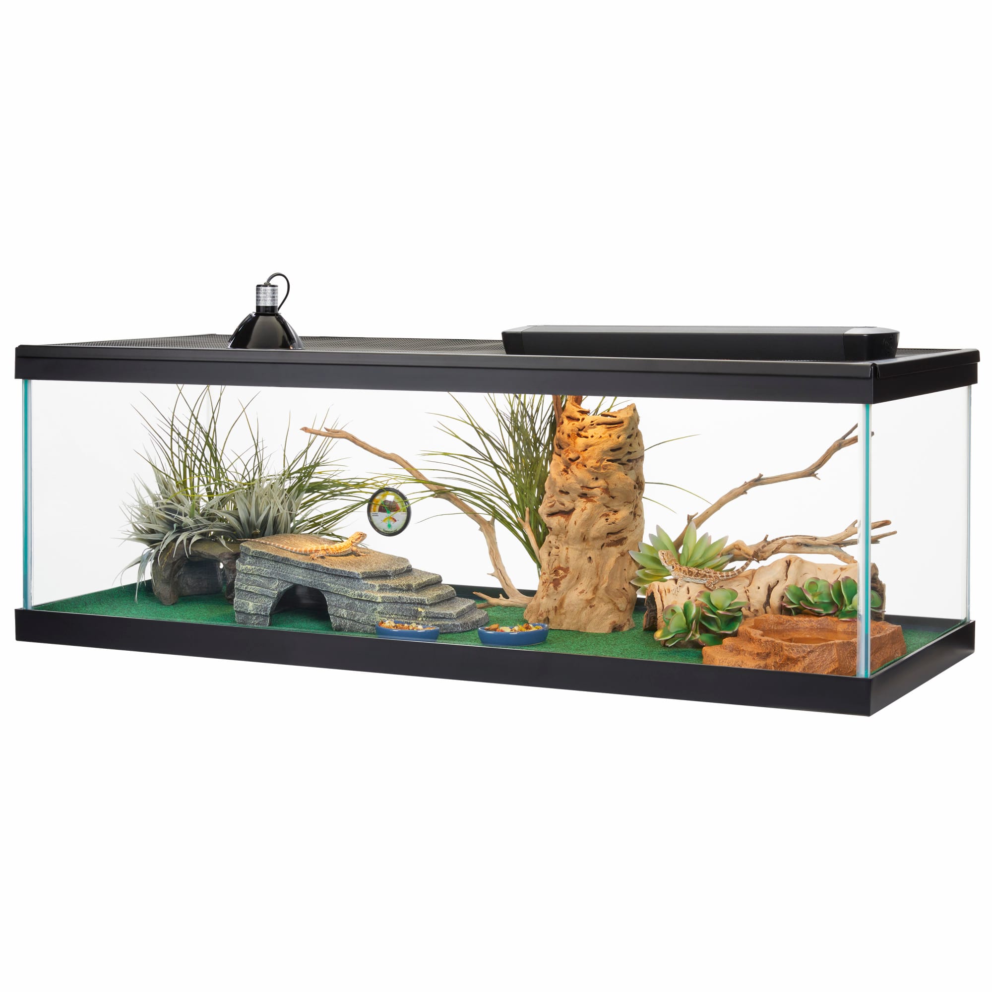 Fish Tanks - Fish Tanks by Gallons - Large (40-99 Gallons) - 60 Gallon  Aquariums - Fish Tanks Direct