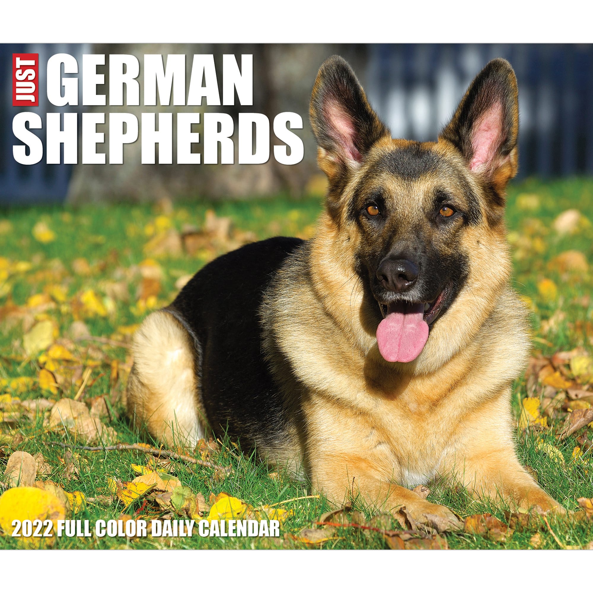 Gsd Calendar 2022 Willow Creek Press German Shepherds 2022 Box Calendar | Petco
