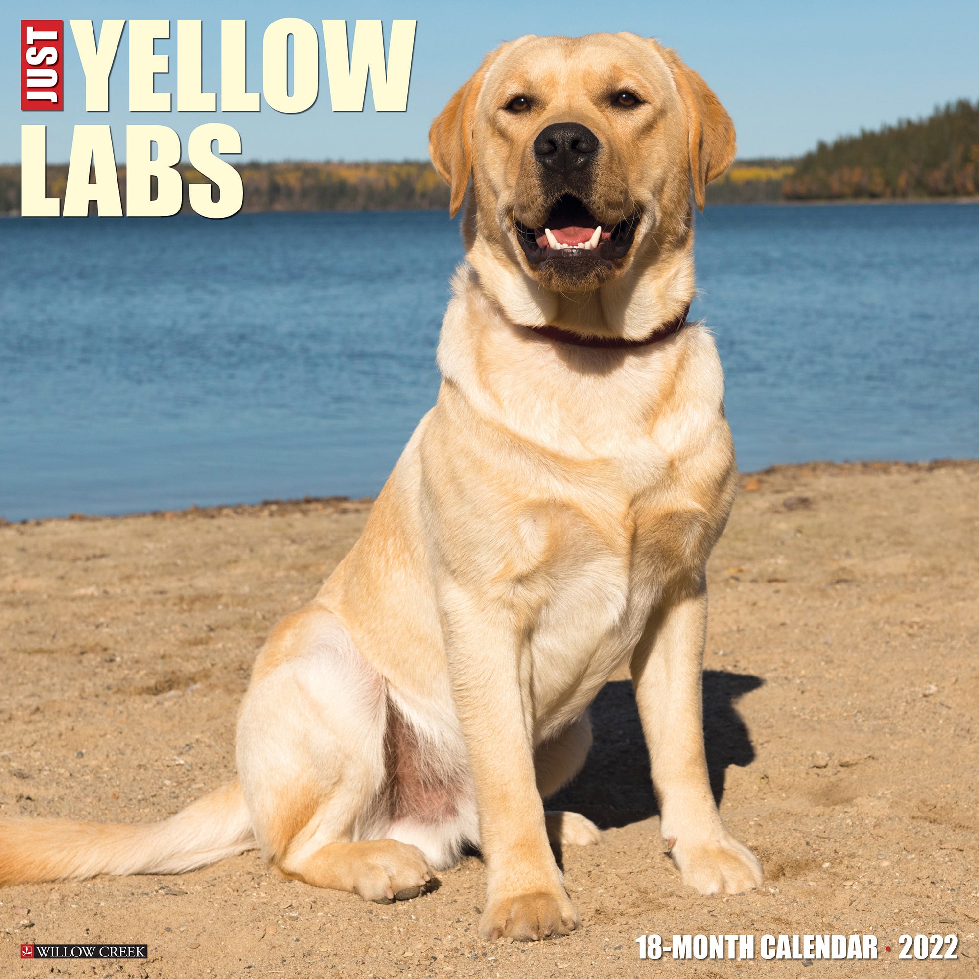 Calendar Labs 2022 Willow Creek Press Just Yellow Labs 2022 Wall Calendar | Petco