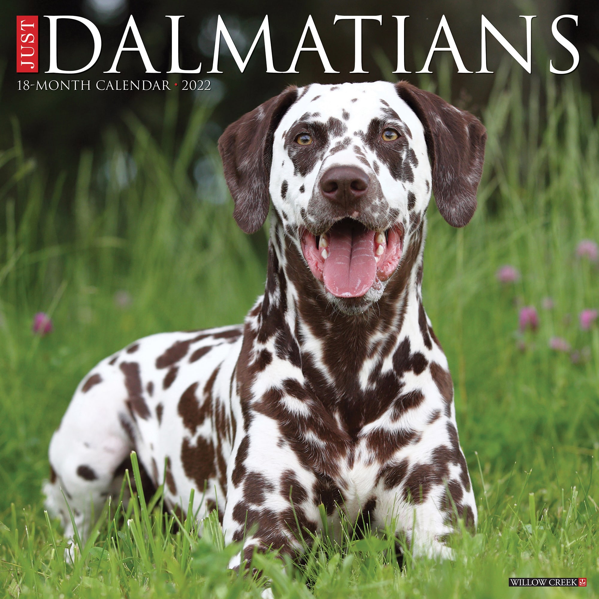 Willow Creek Press Just Dalmatians 2022 Wall Calendar | Petco