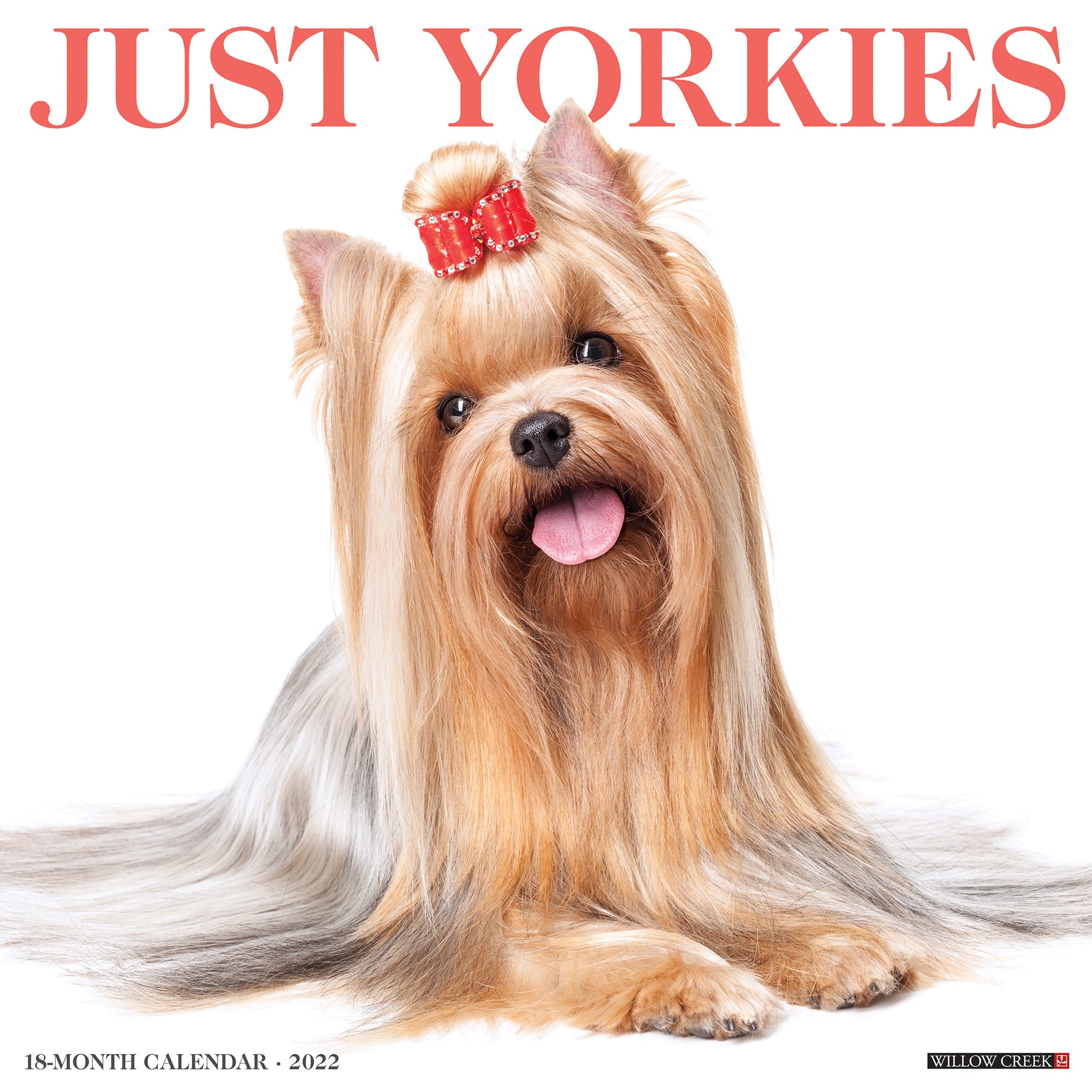 Just Yorkie Puppies dog breed calendar Free Shipping 2021 Wall Calendar