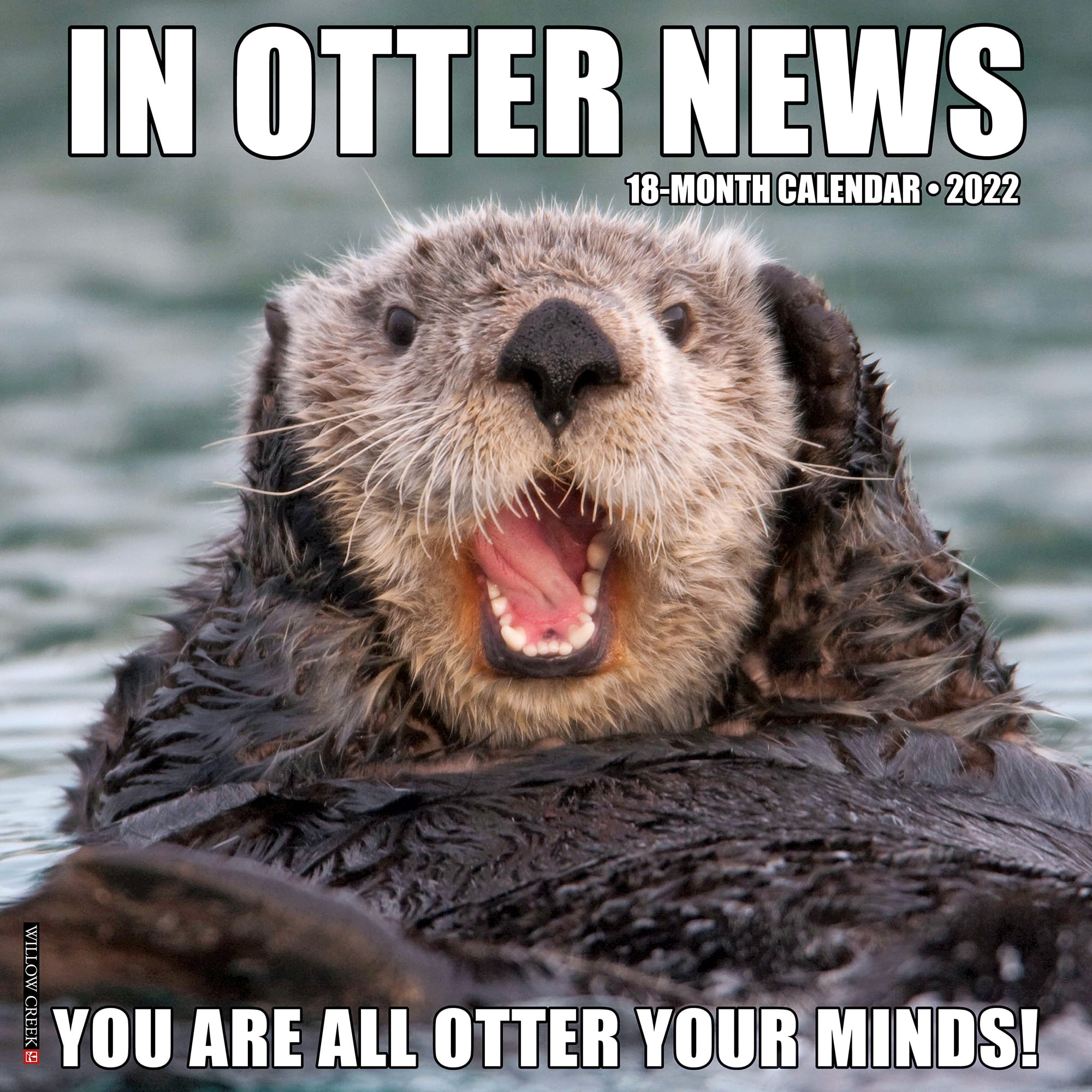 Otter Calendar 2022 Willow Creek Press In Otter News 2022 Wall Calendar | Petco