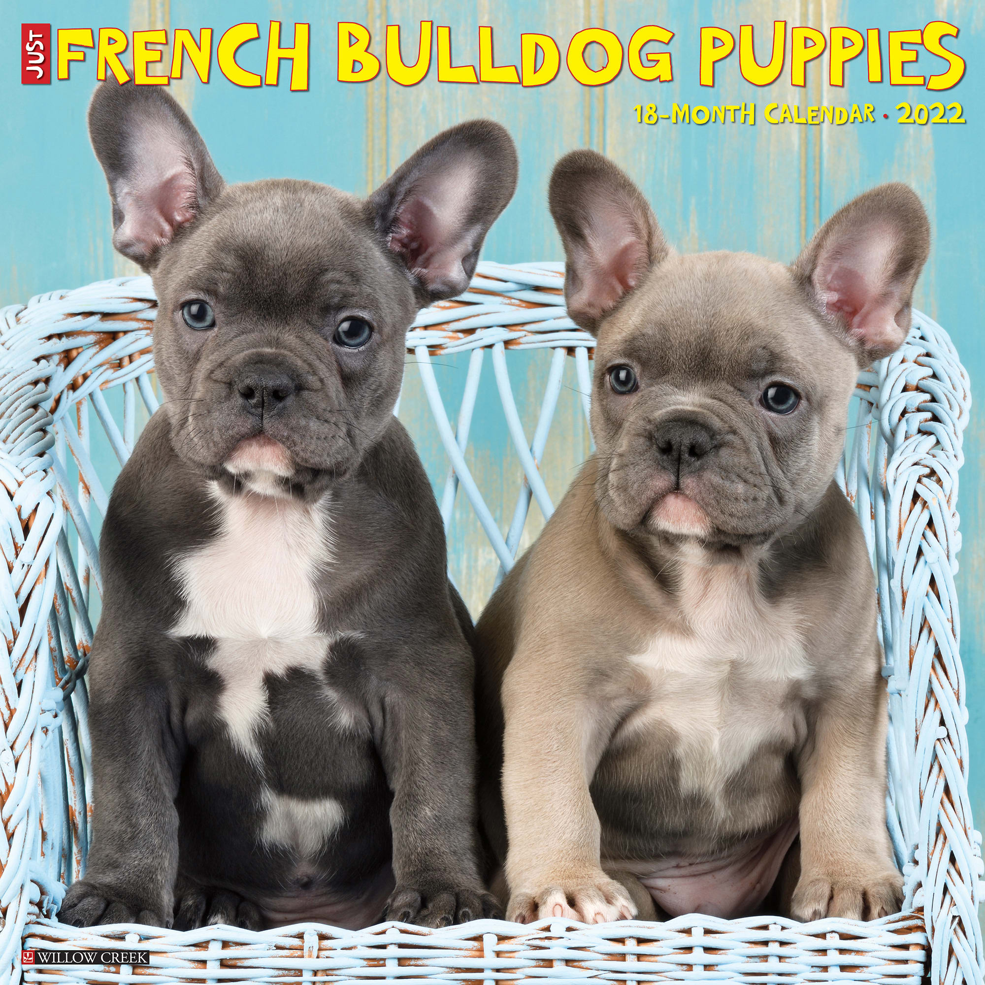 Willow Creek Press Just French Bulldog Puppies 2022 Wall Calendar Petco