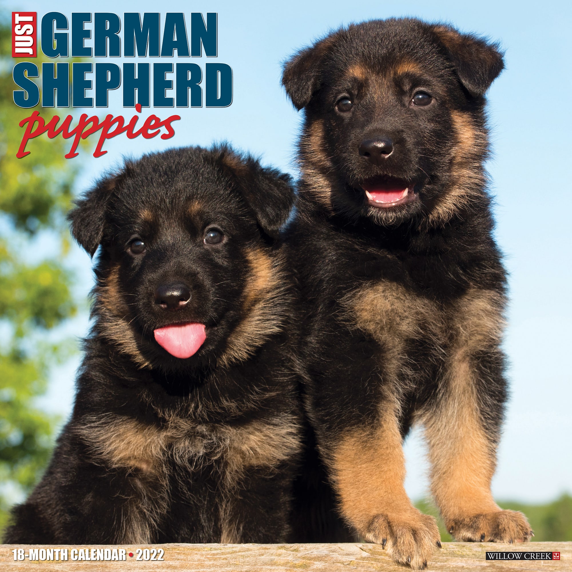12+ German shepherd puppies nj free