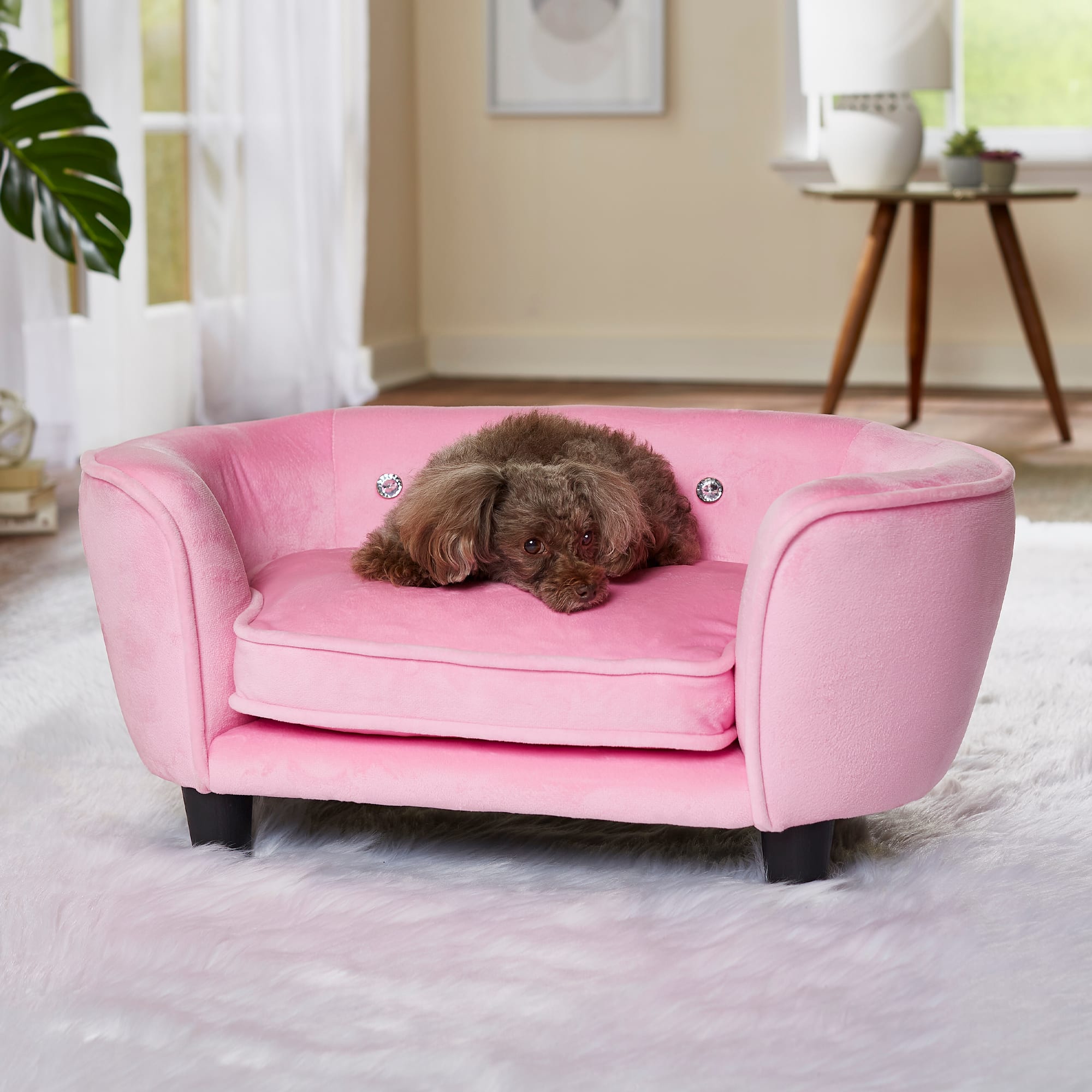 Pink dog 2025 sofa bed