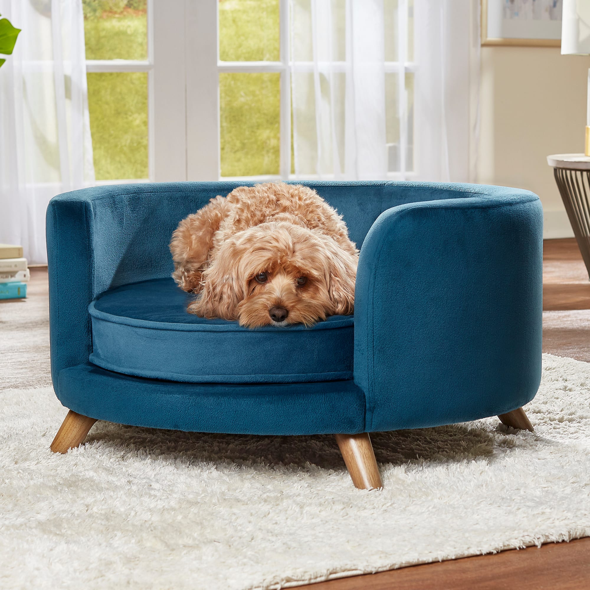 Teal 2024 dog sofa