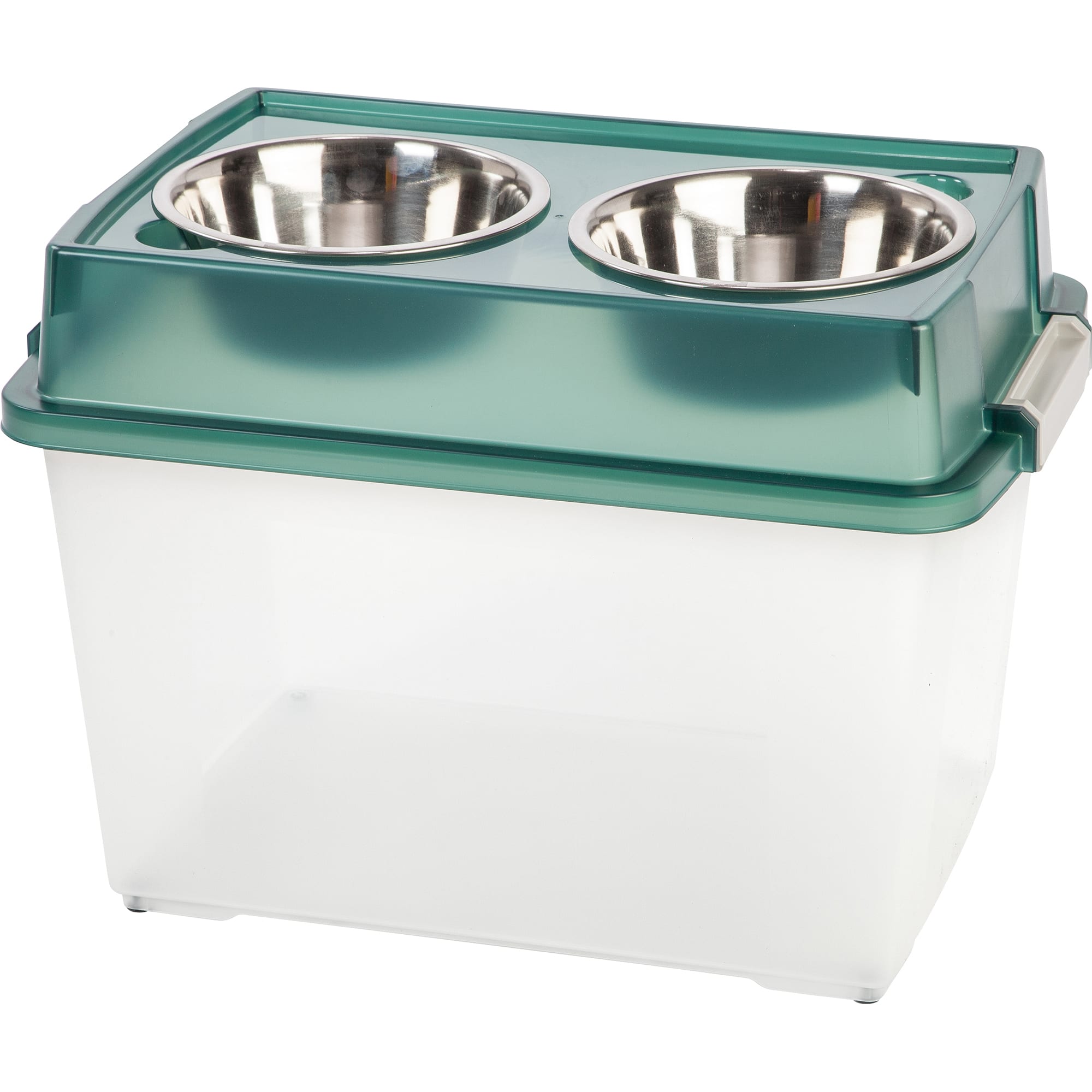 Iris Green Elevated Double Diner with Airtight Food Storage Container