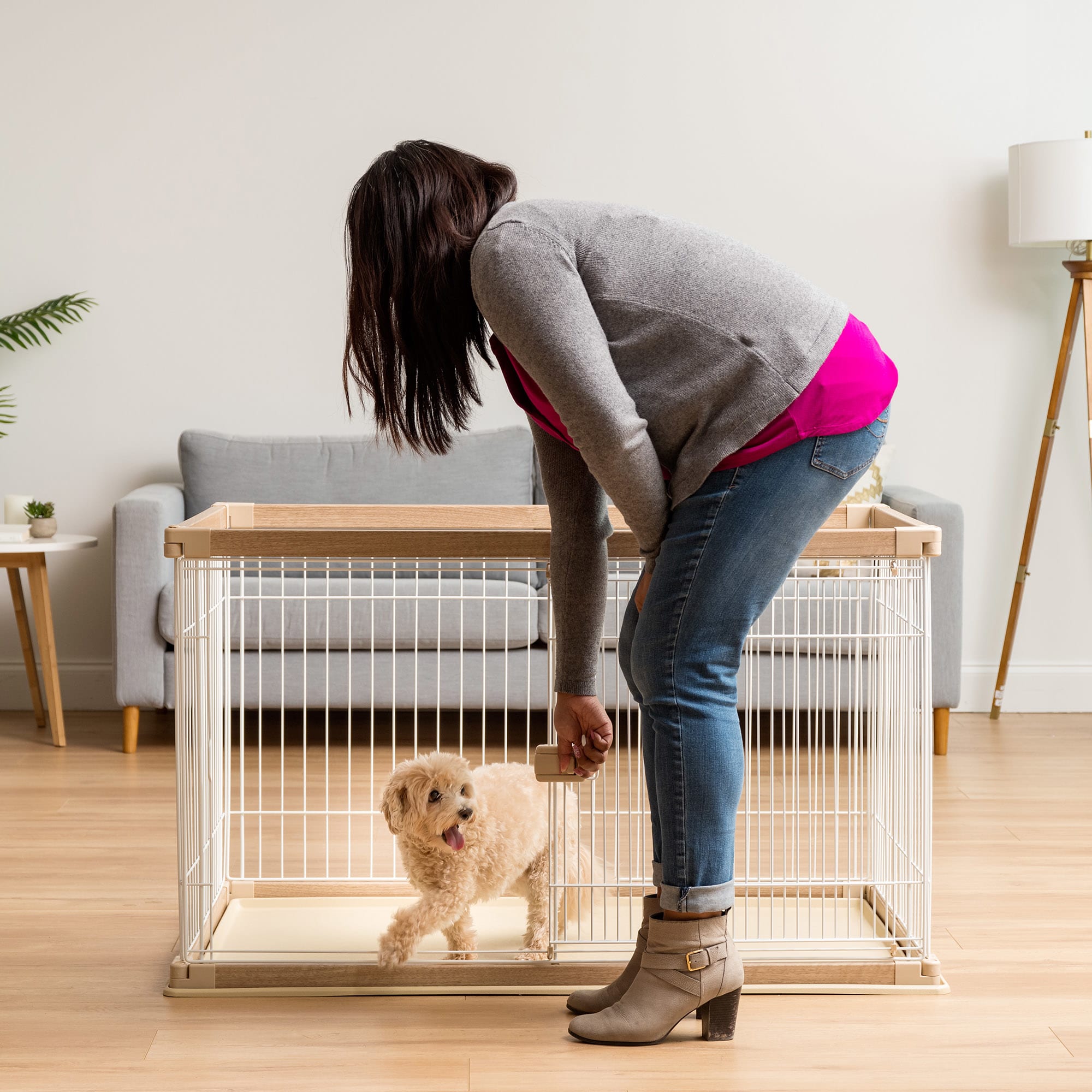 Iris wire dog outlet crate