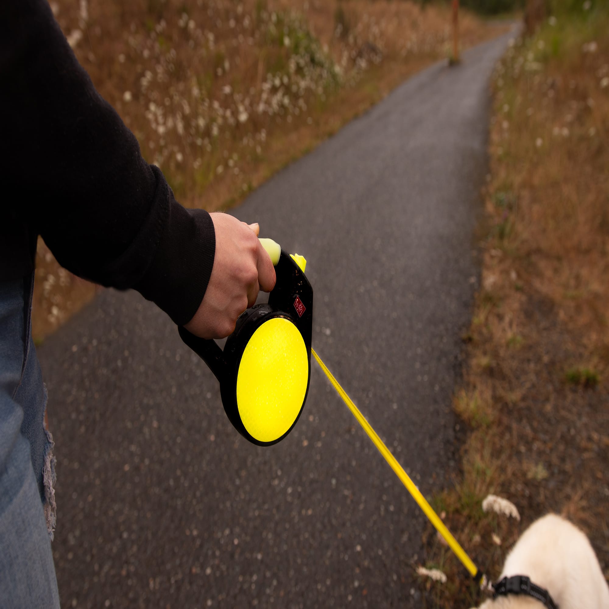 Wigzi gel leash outlet petco