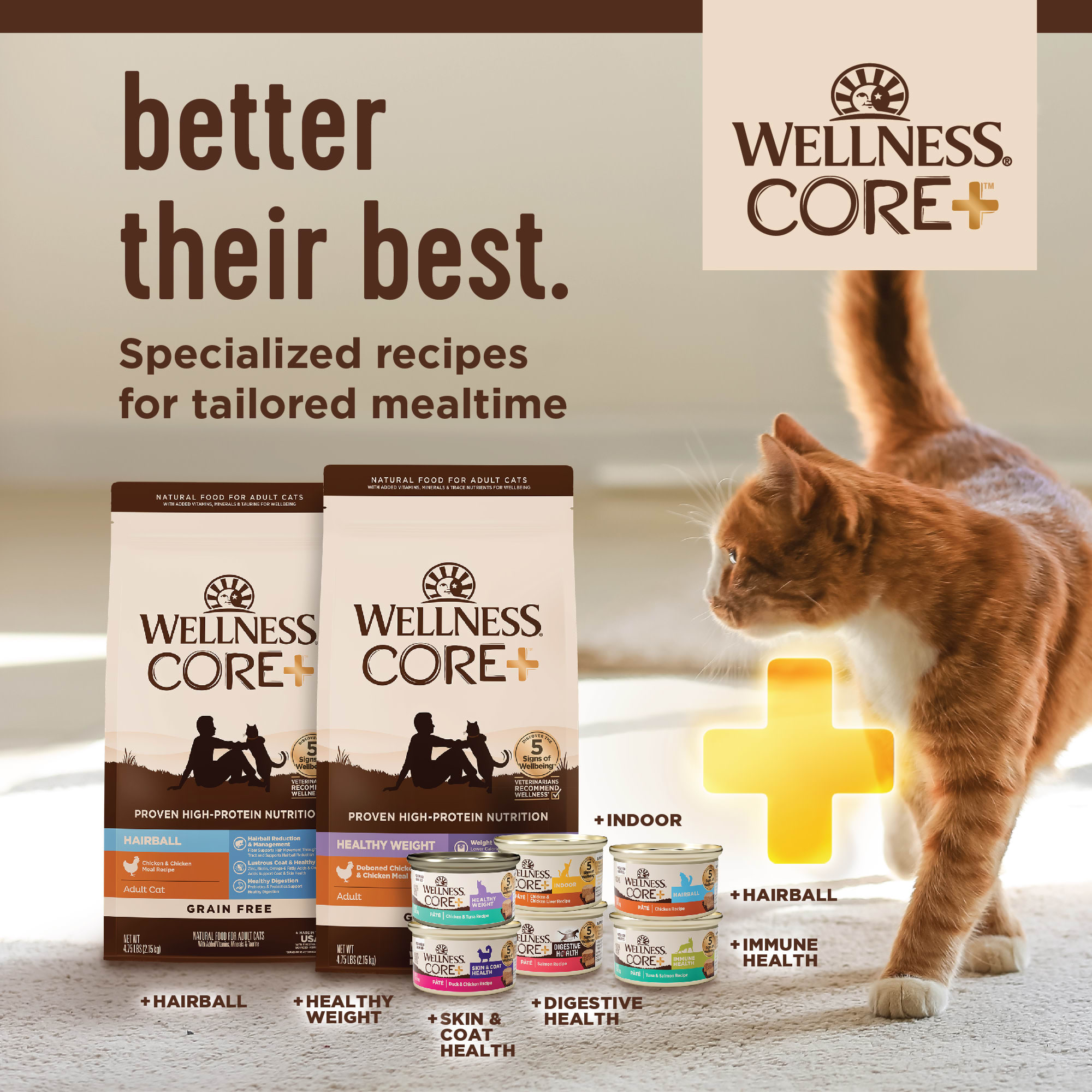 Wellness CORE Digestive Health Chicken Pate Wet Cat Food 3 oz