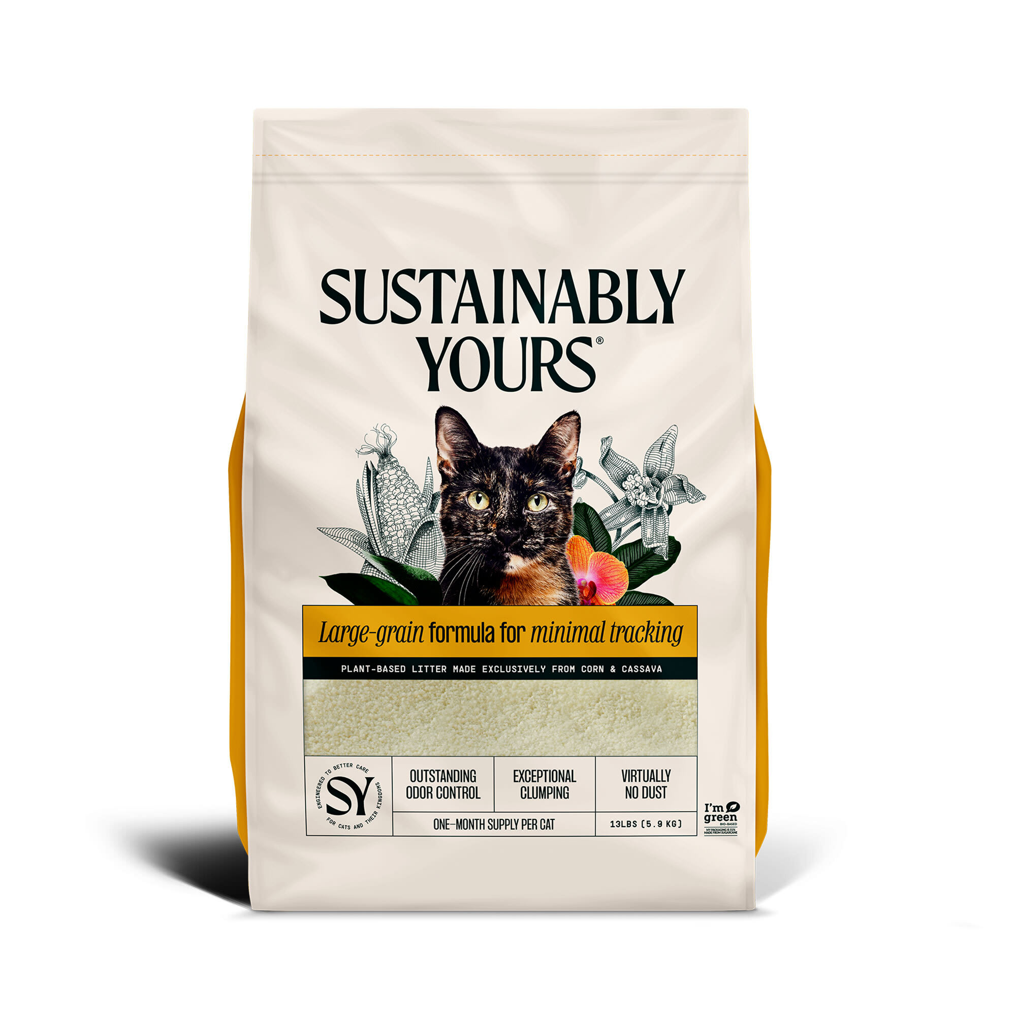 Non gmo cat litter best sale