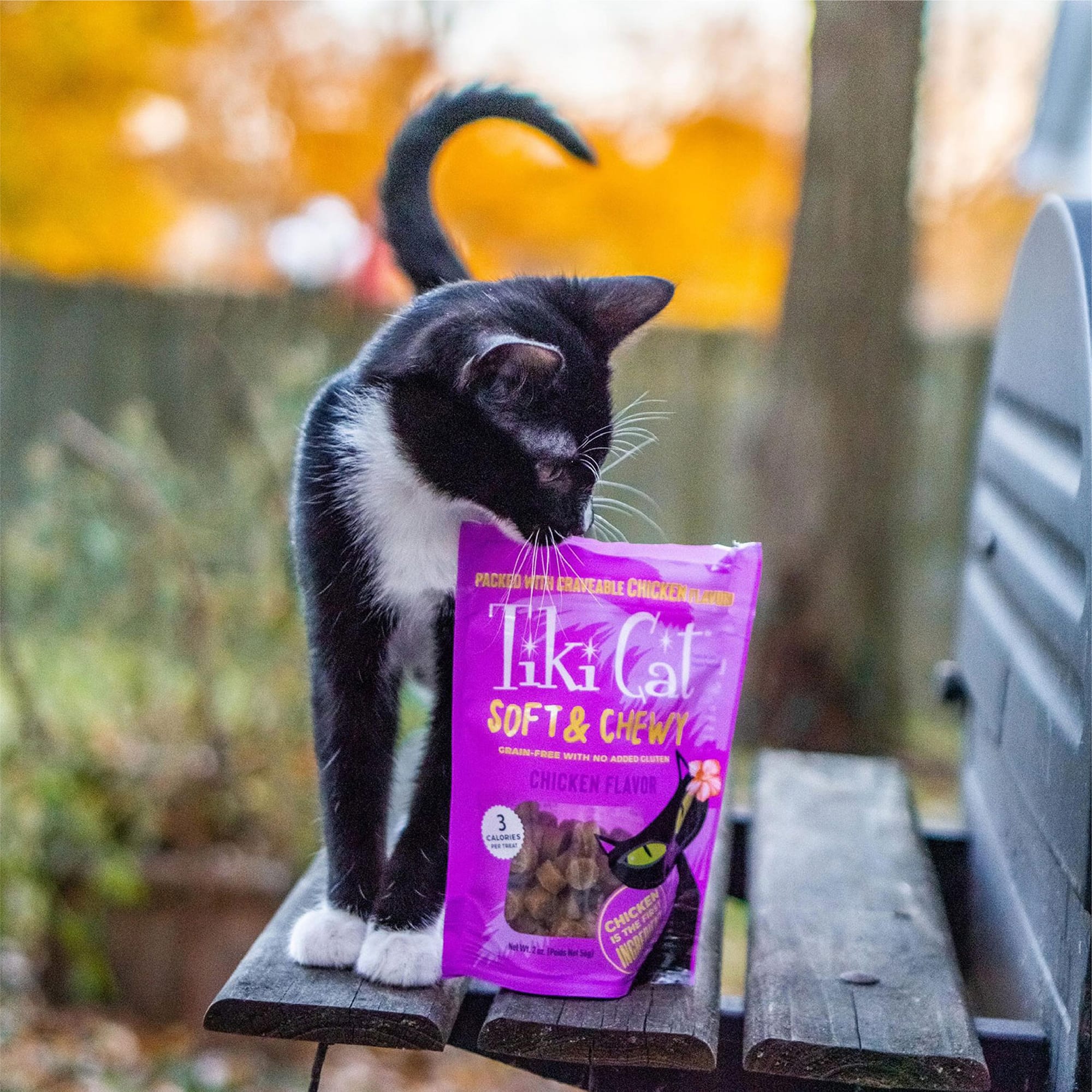 FabCat Tiki Cat Toys - Molly's Healthy Pet Food Market