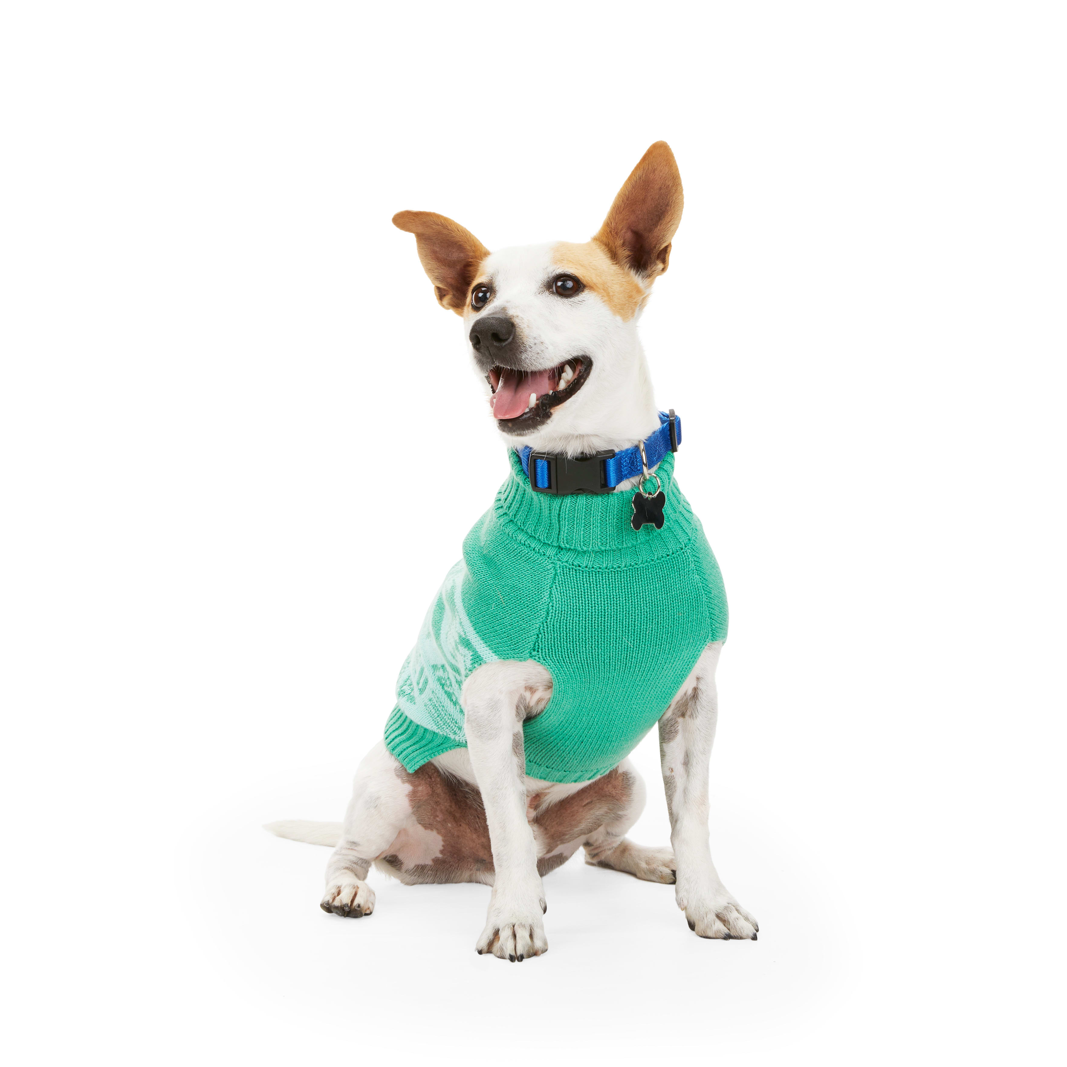 Petco sweaters shop