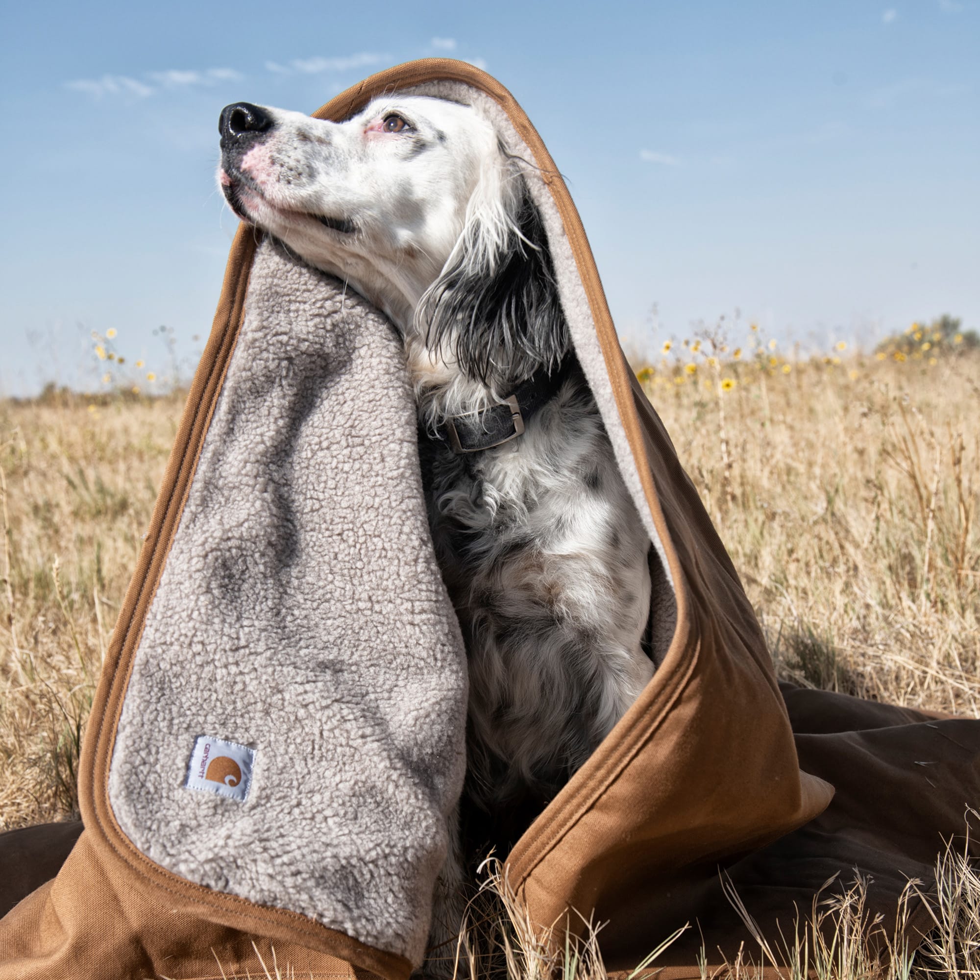 Carhartt Firm Duck Sherpa-Lined Throw for Dogs, 59.5