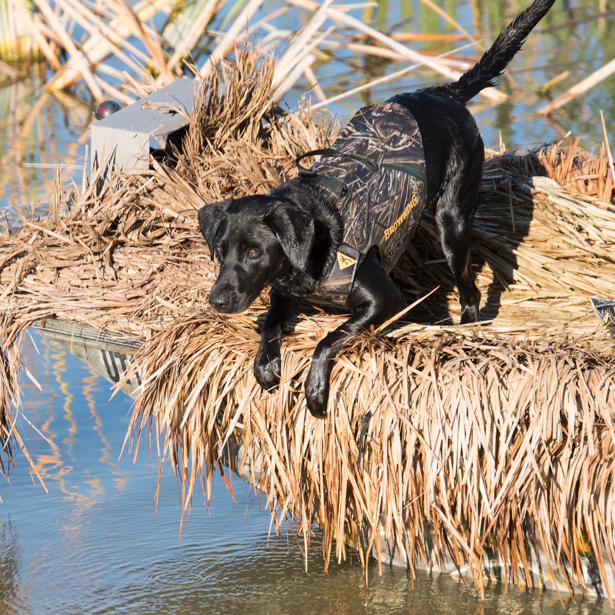 Browning Realtree Neoprene Dog Vest Small Petco