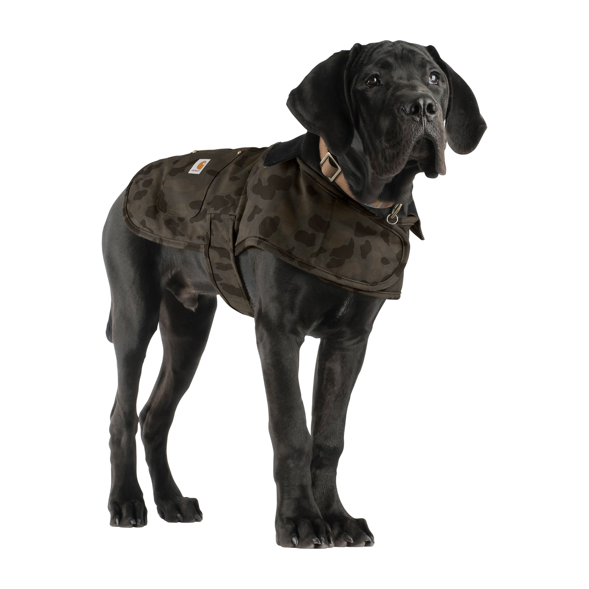 Dog store jacket camo