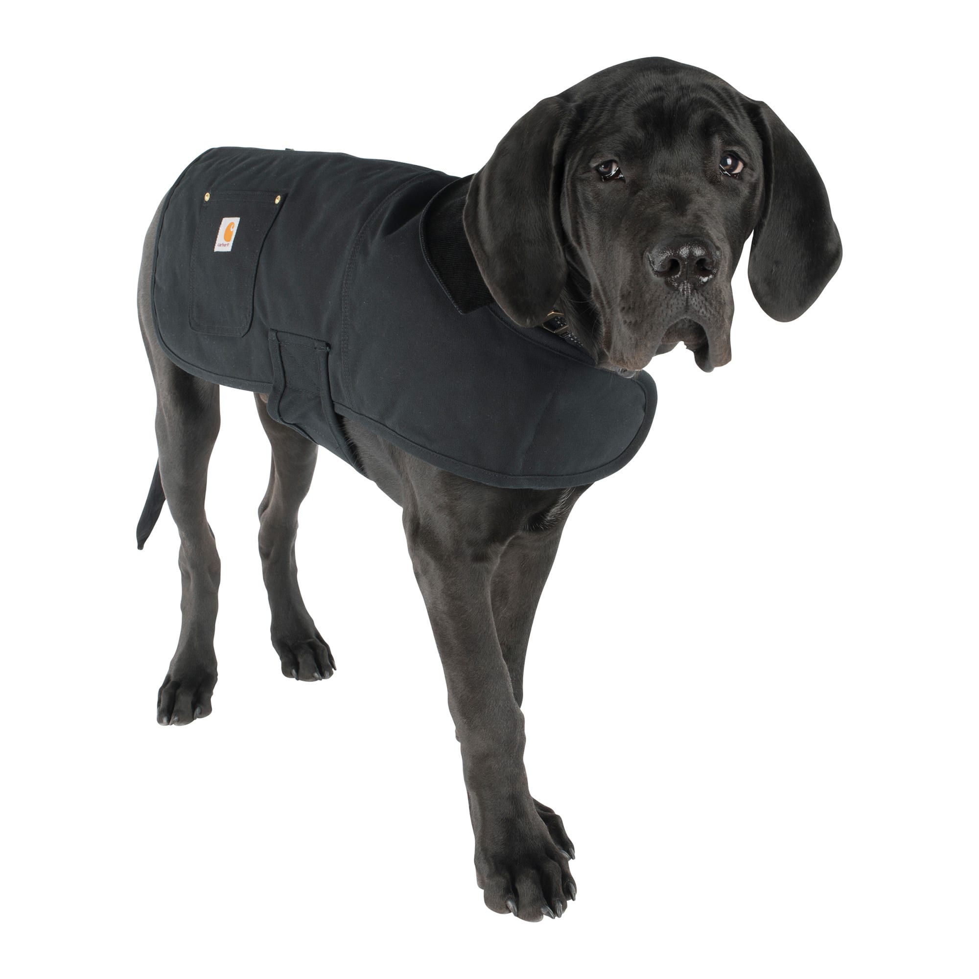 Carhart shop dog vest