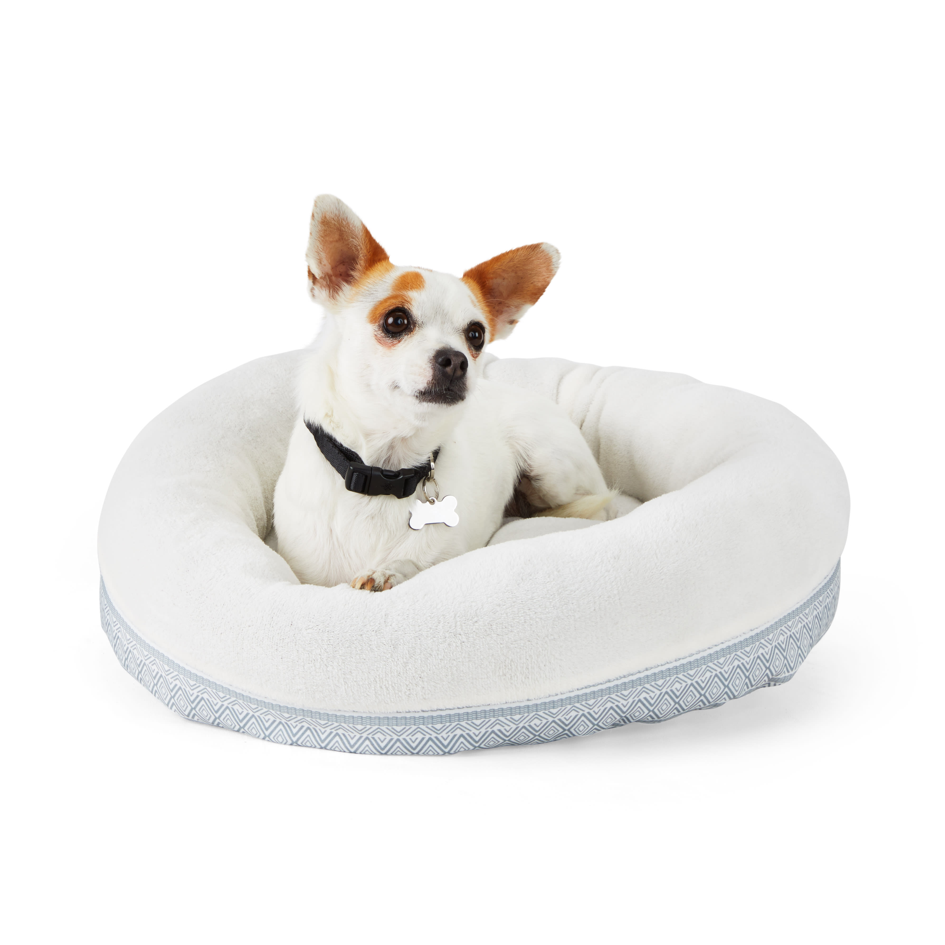 EveryYay Essentials Round Dog Bed, 20" L X 20" W X 6" H, Zig Zag Petco