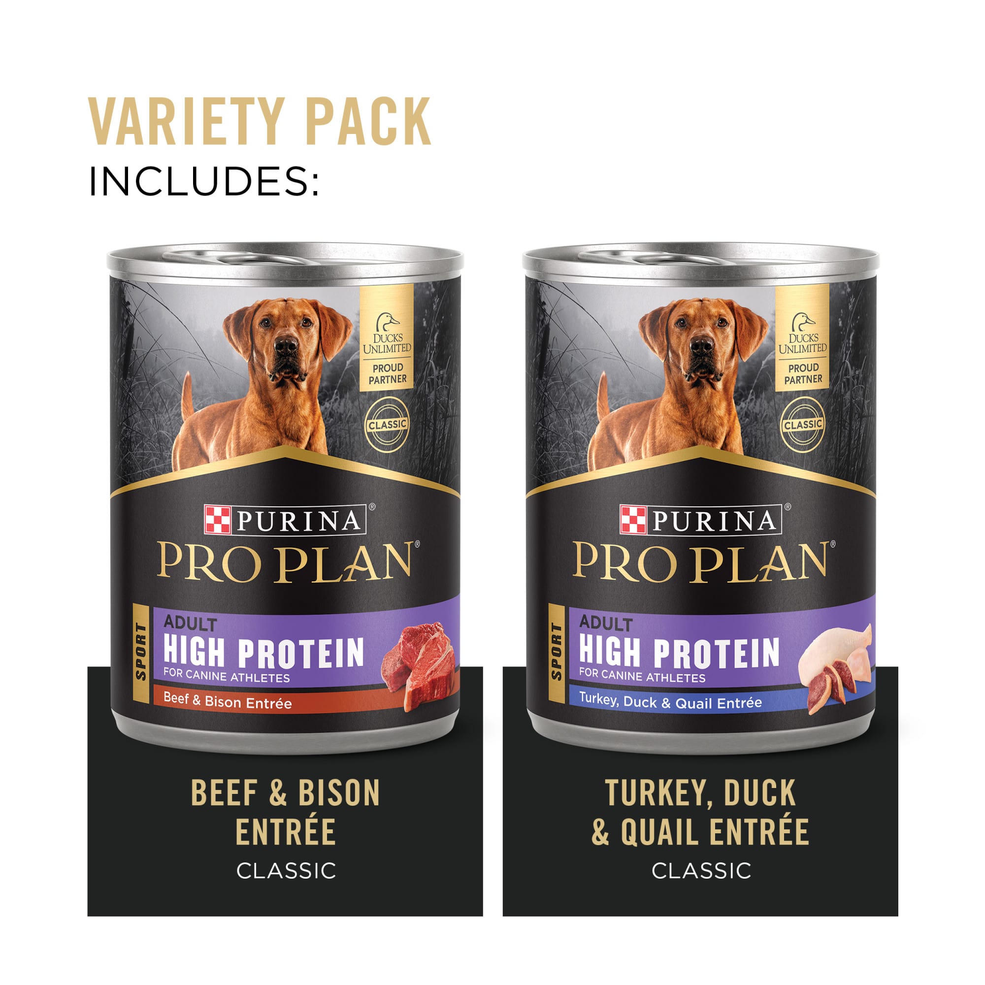 High protein wet puppy food store