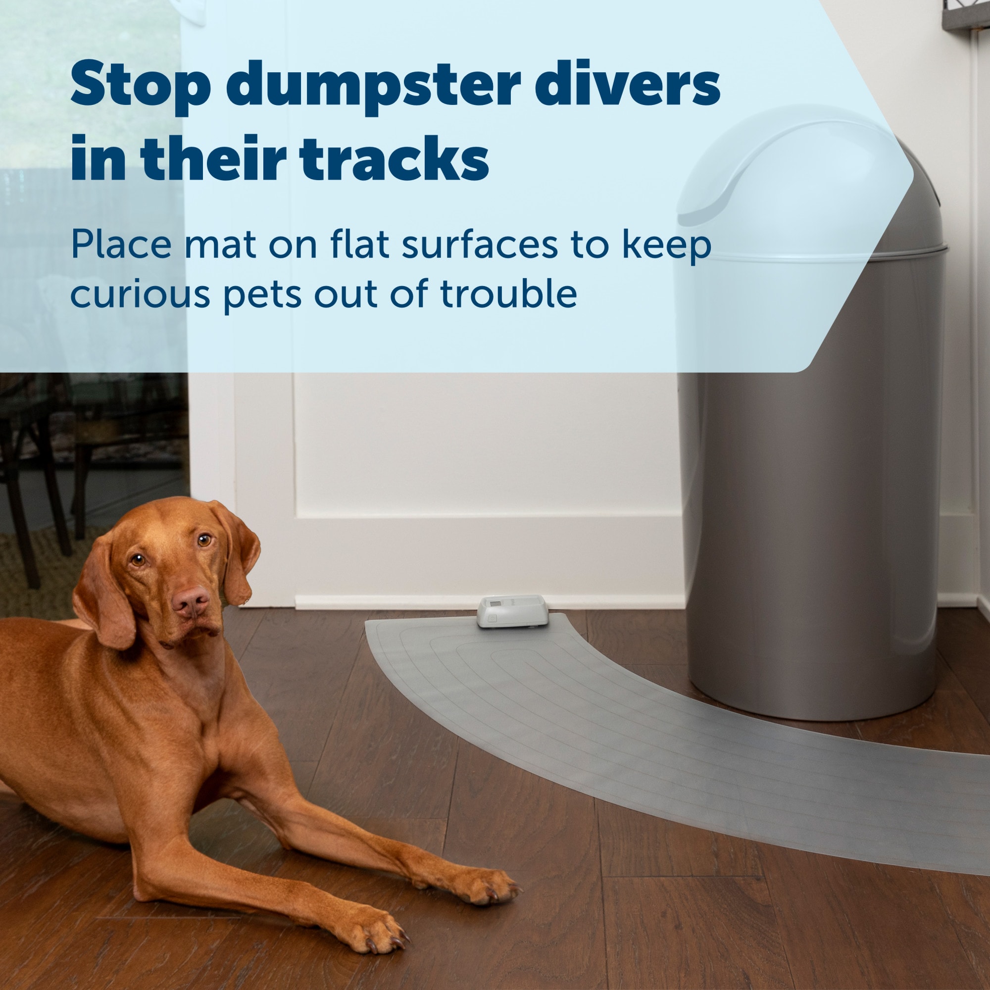 PetSafe ScatMat Curved Indoor Training Mat 50 L X 12 W Petco