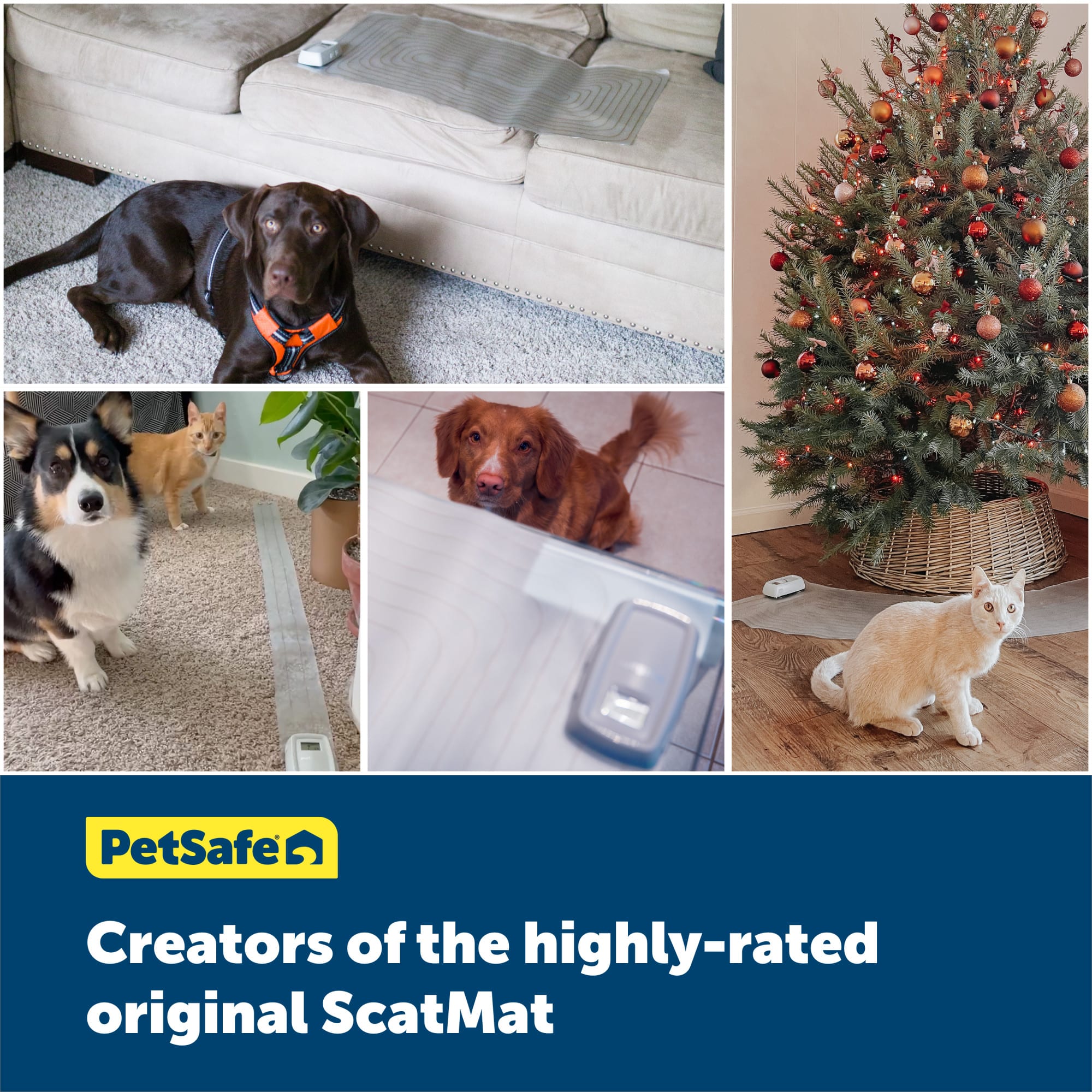 PetSafe ScatMat Curved Indoor Training Mat 50 L X 12 W Petco