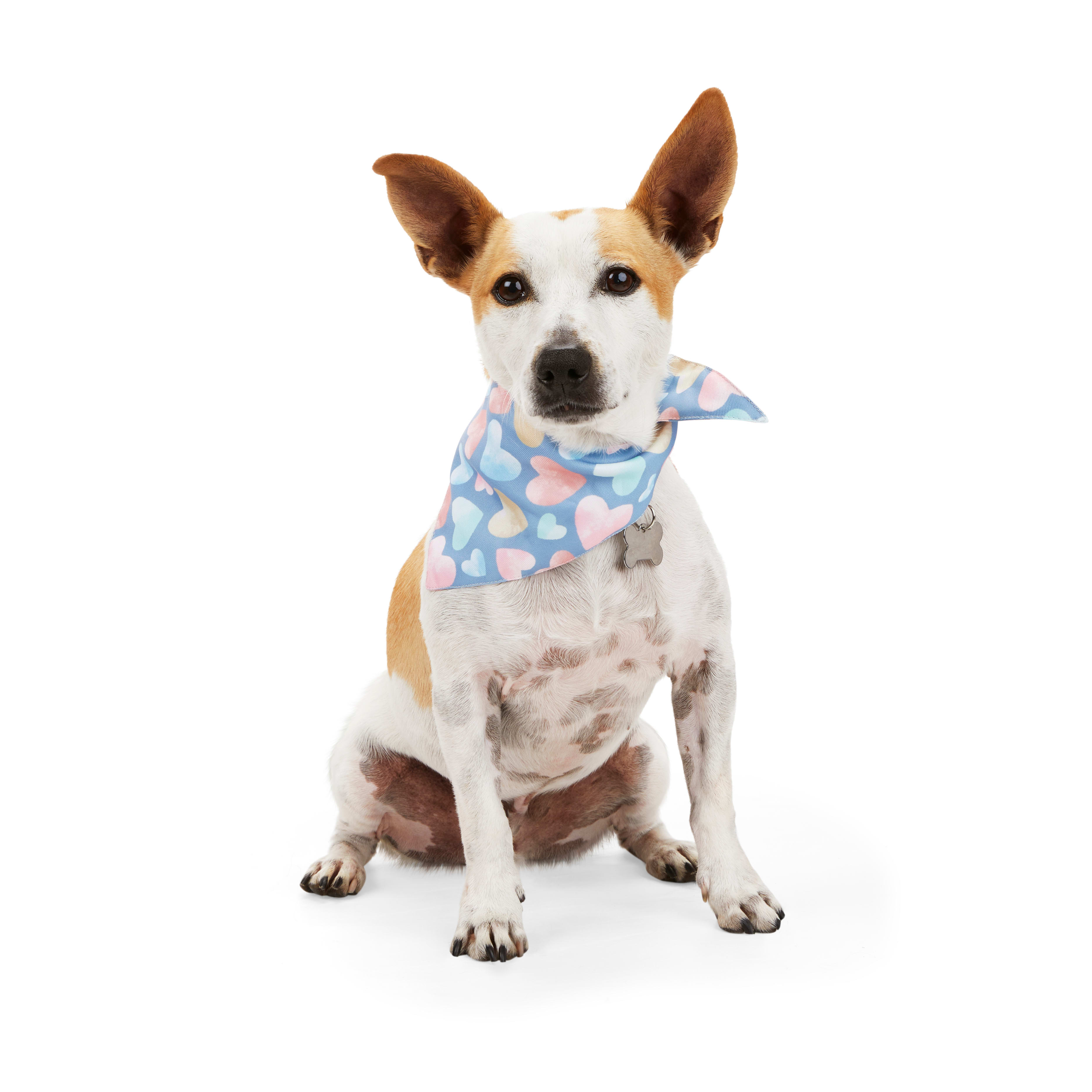 Dog and best sale human matching bandanas