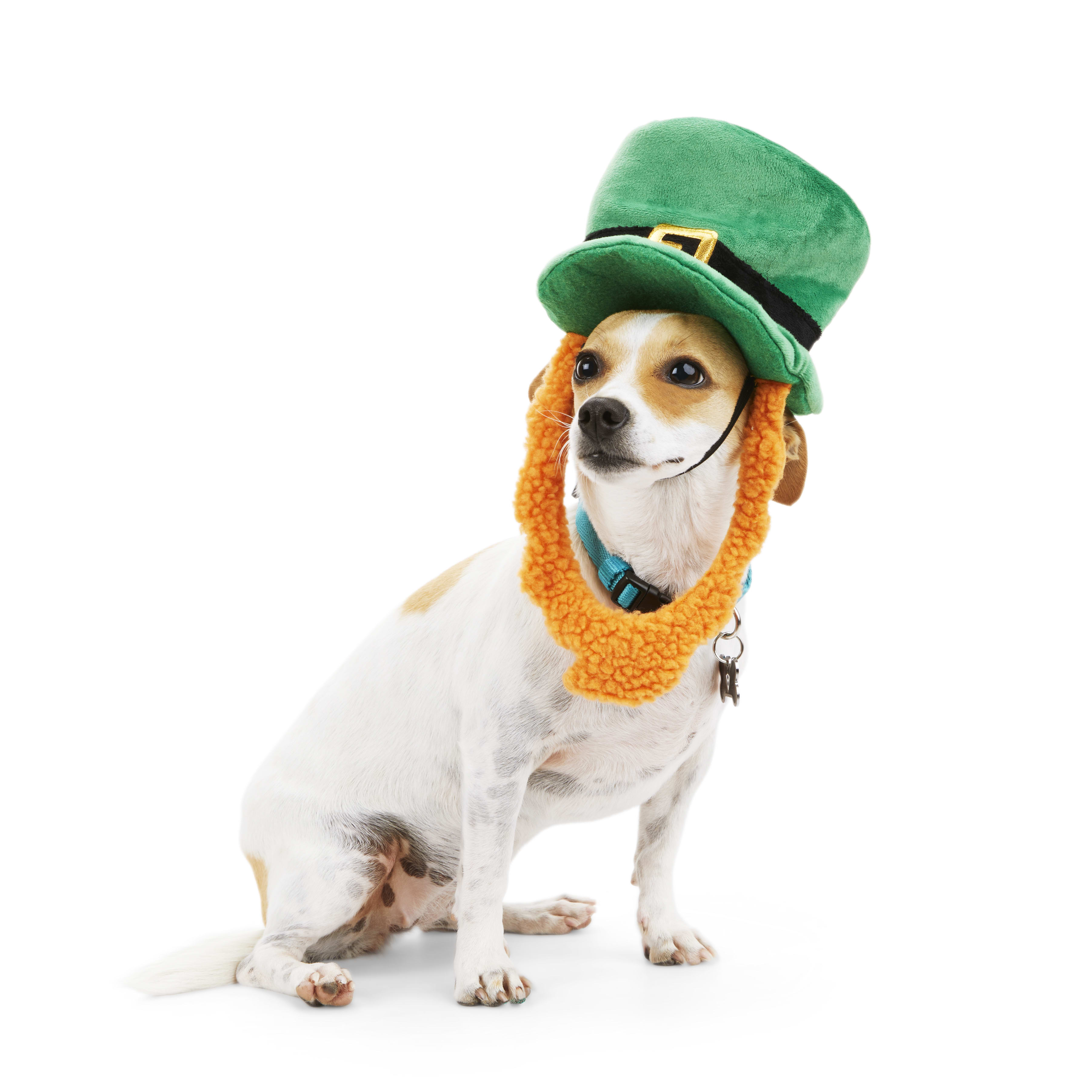 Dog discount leprechaun costume