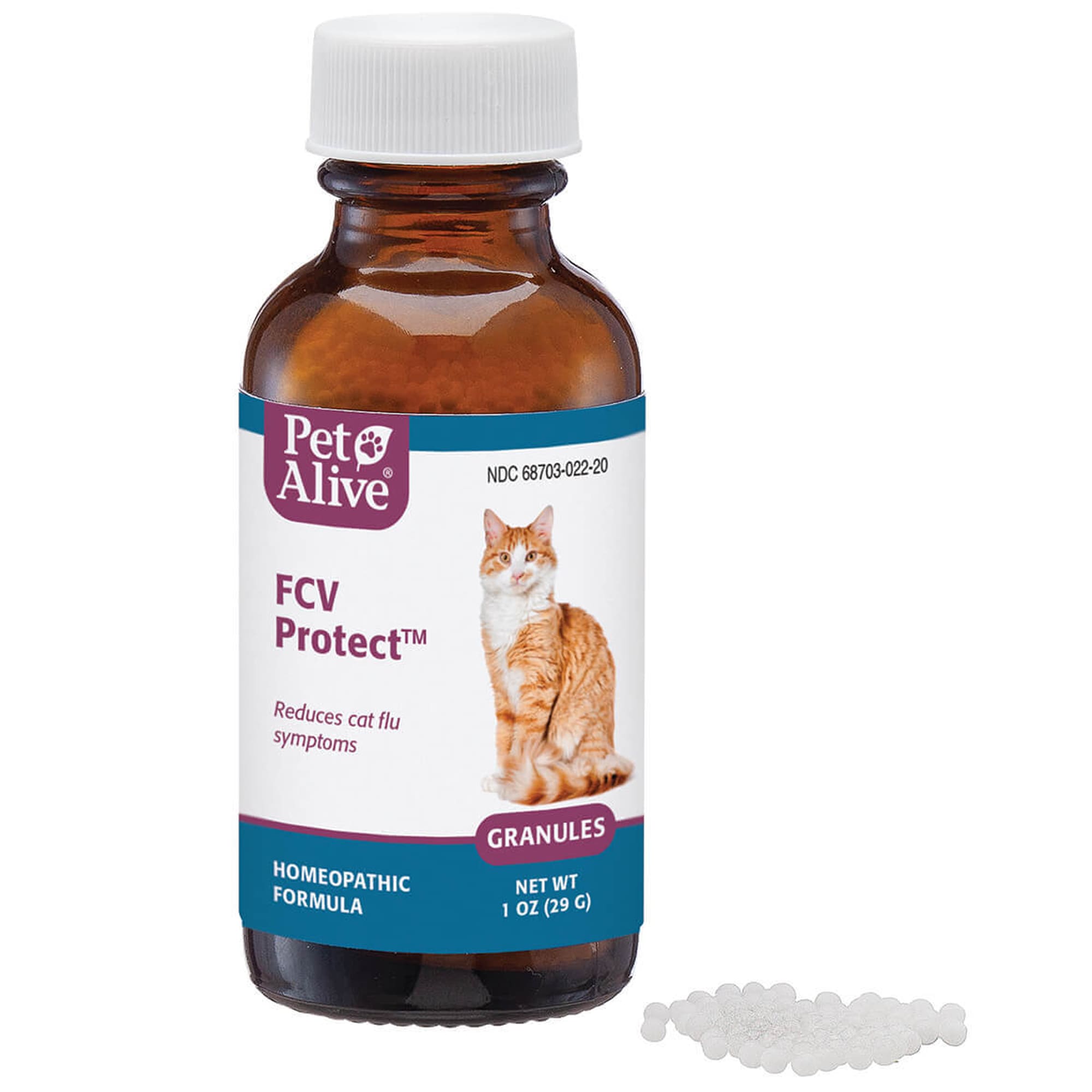 Cat kidney 2024 failure treatment homeopathic