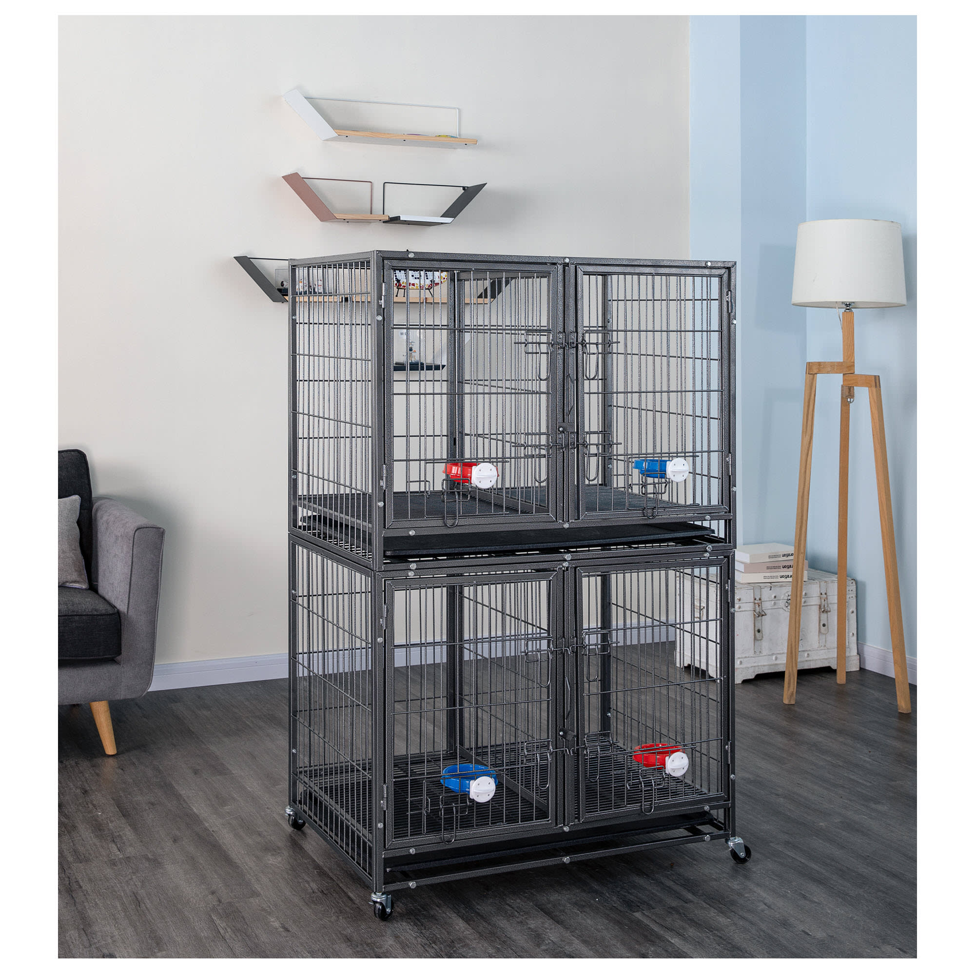 Cages for best sale dogs petco