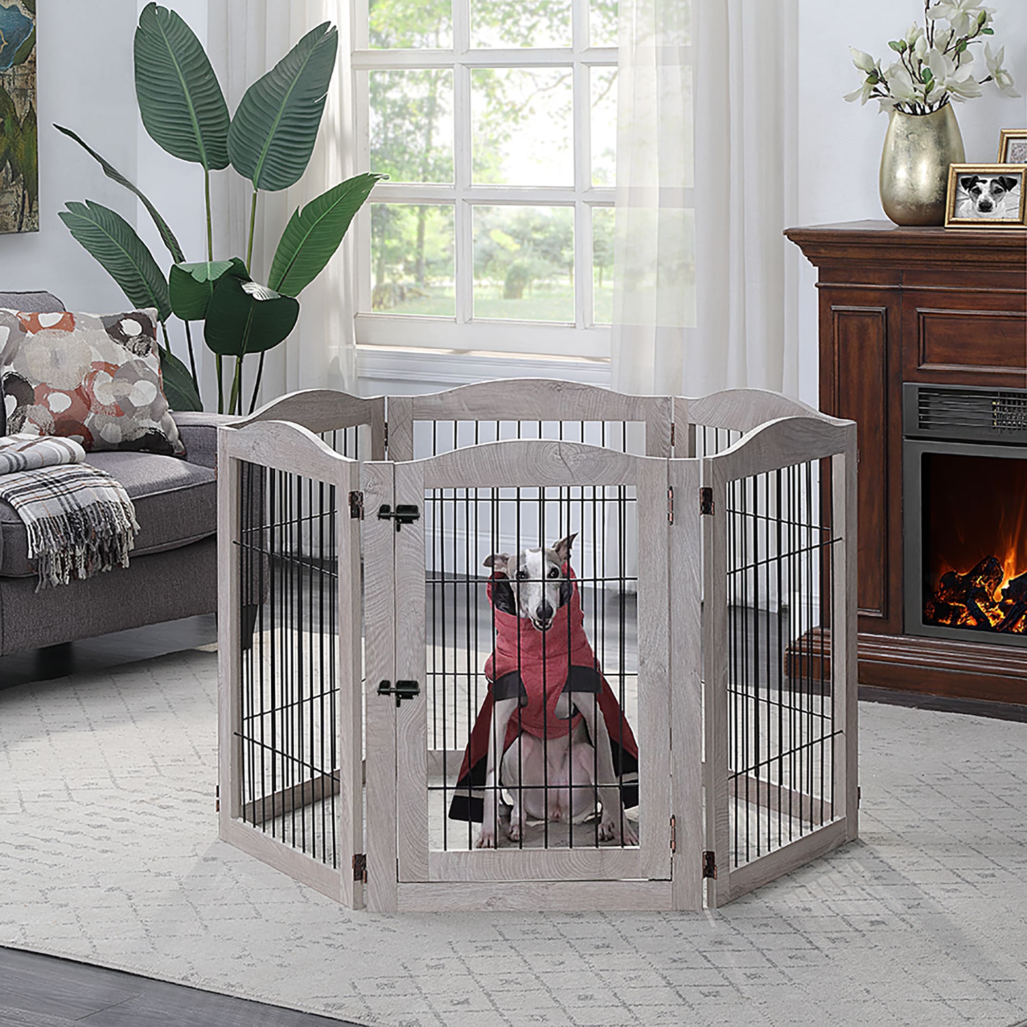 6 panel dog gate best sale