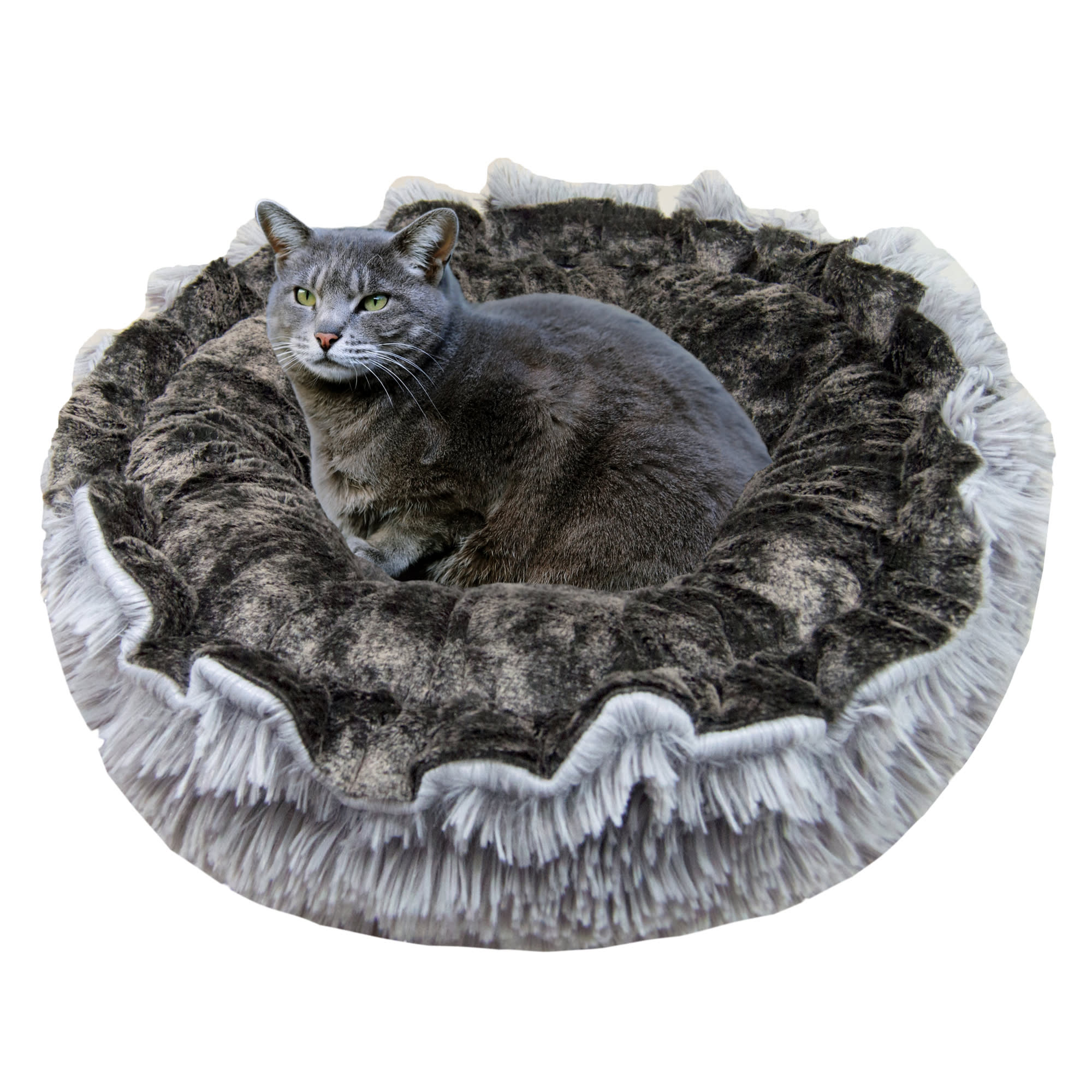 Accessories for Royal Canin Queen 4 kg | goods catalog & price ...