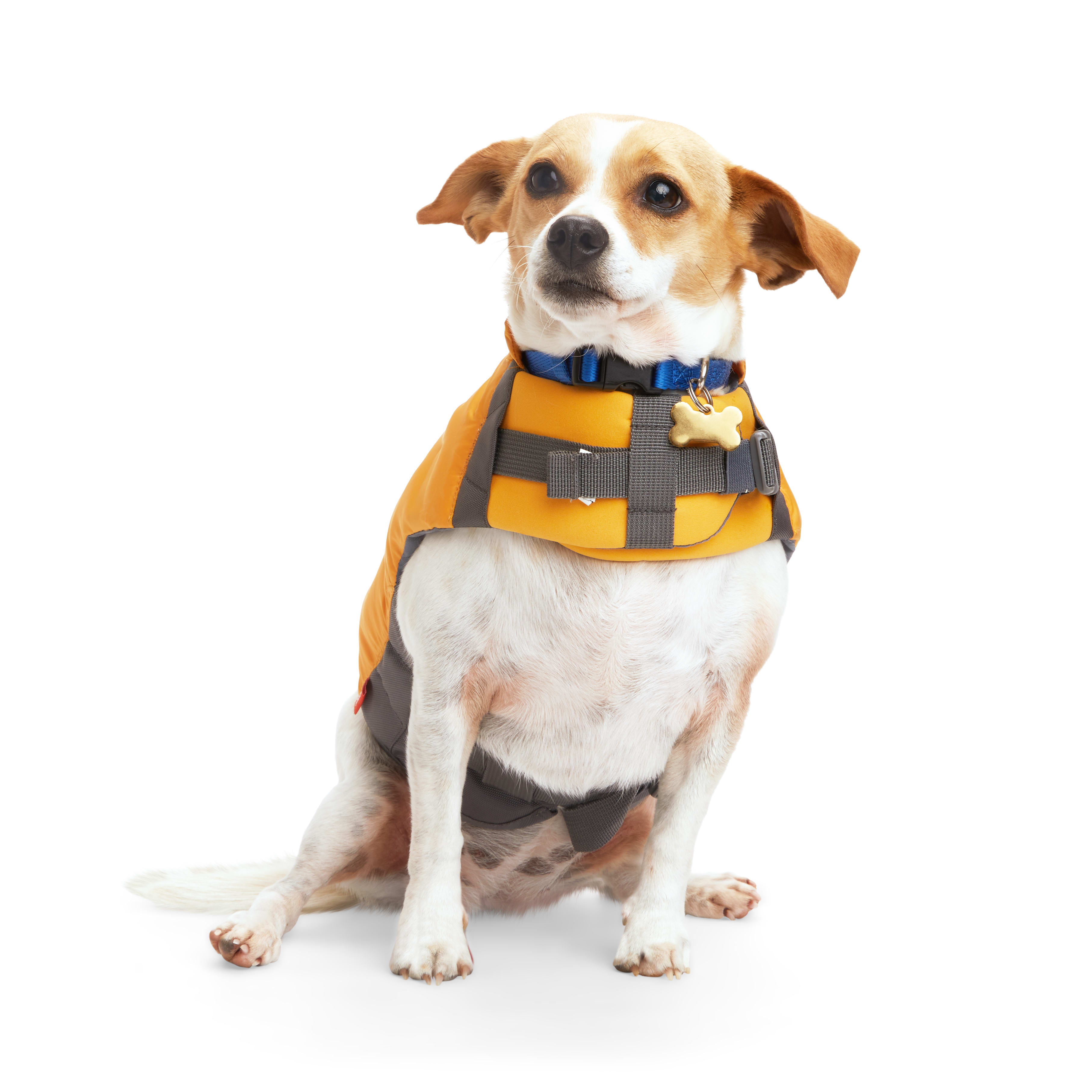 Petco best sale life jacket