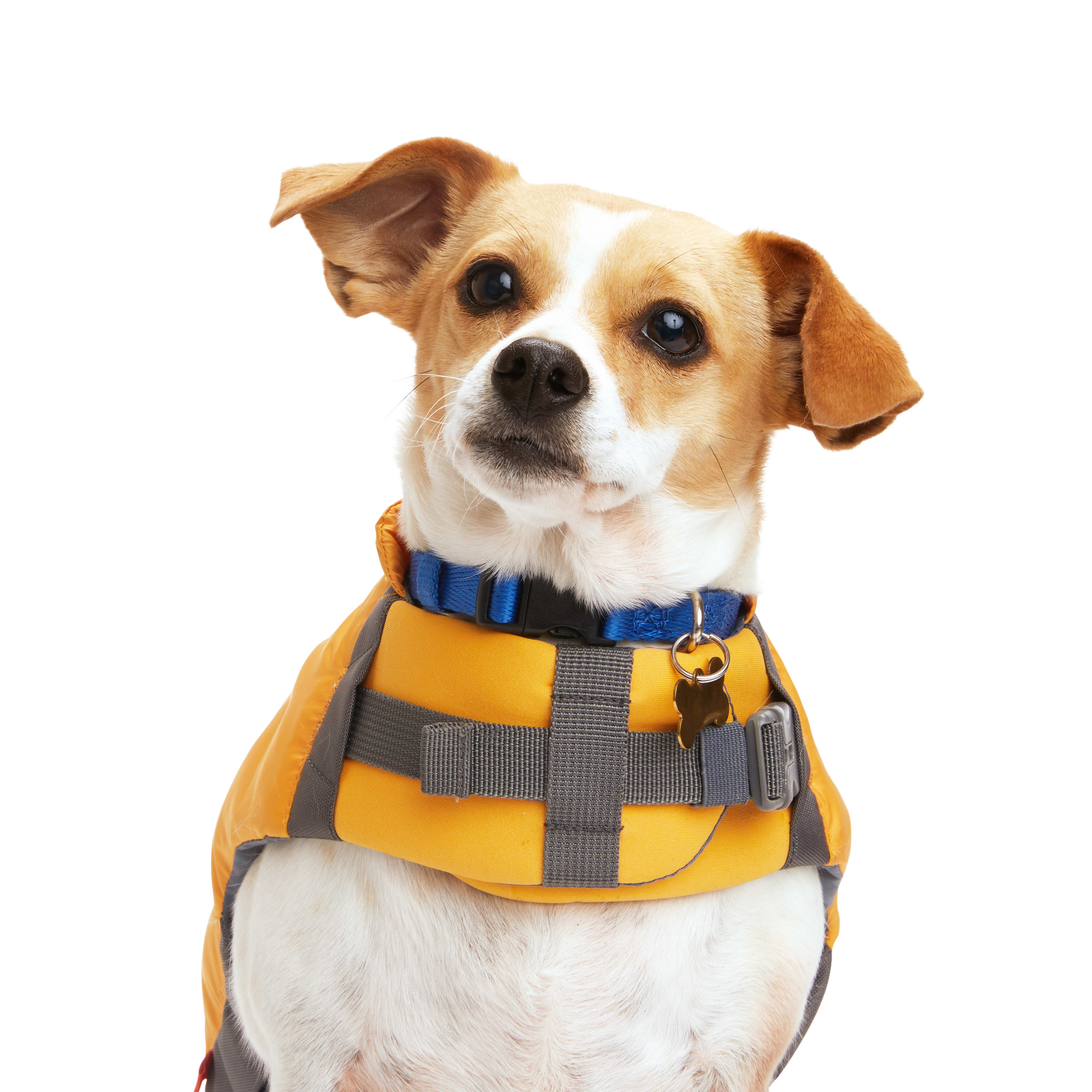 Petco life jackets for hot sale dogs