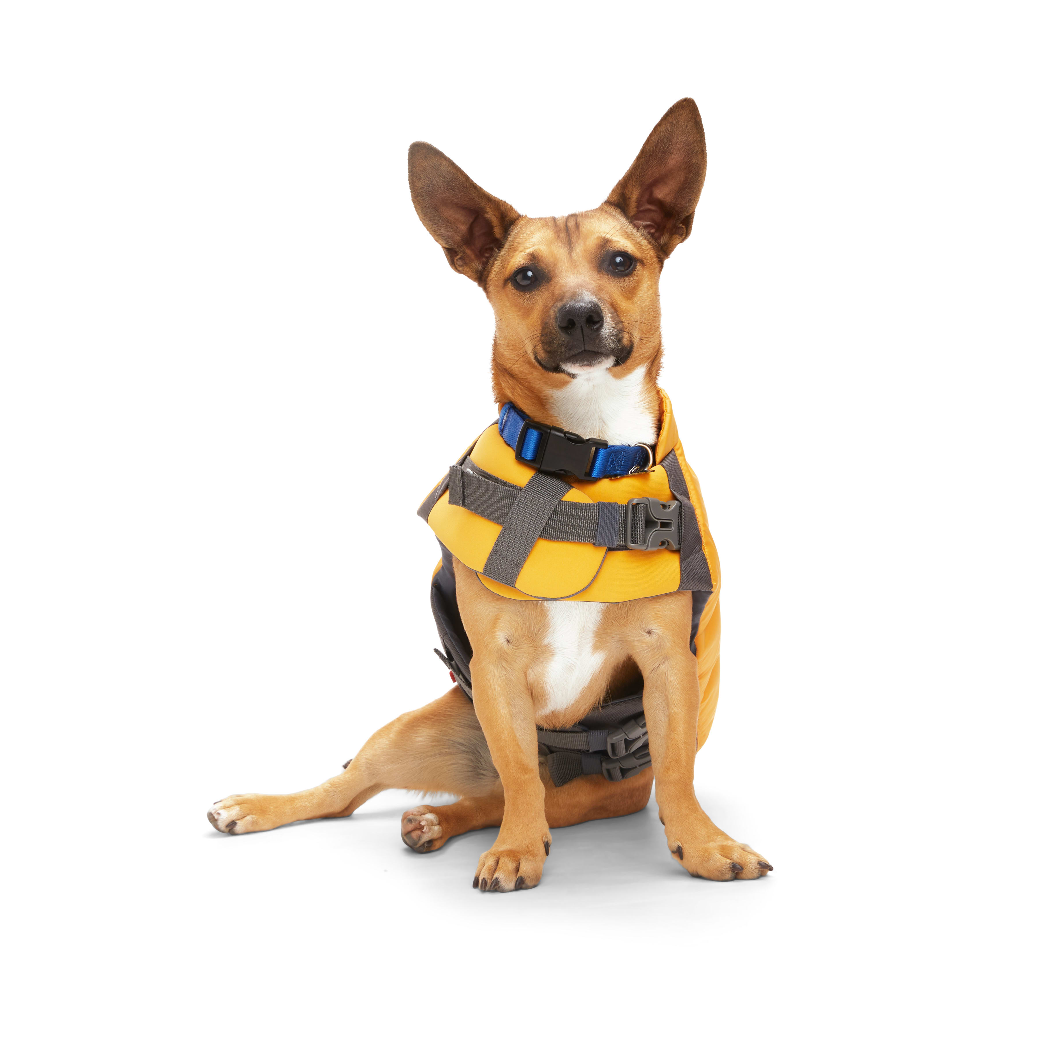 Chewy dog hot sale life jacket