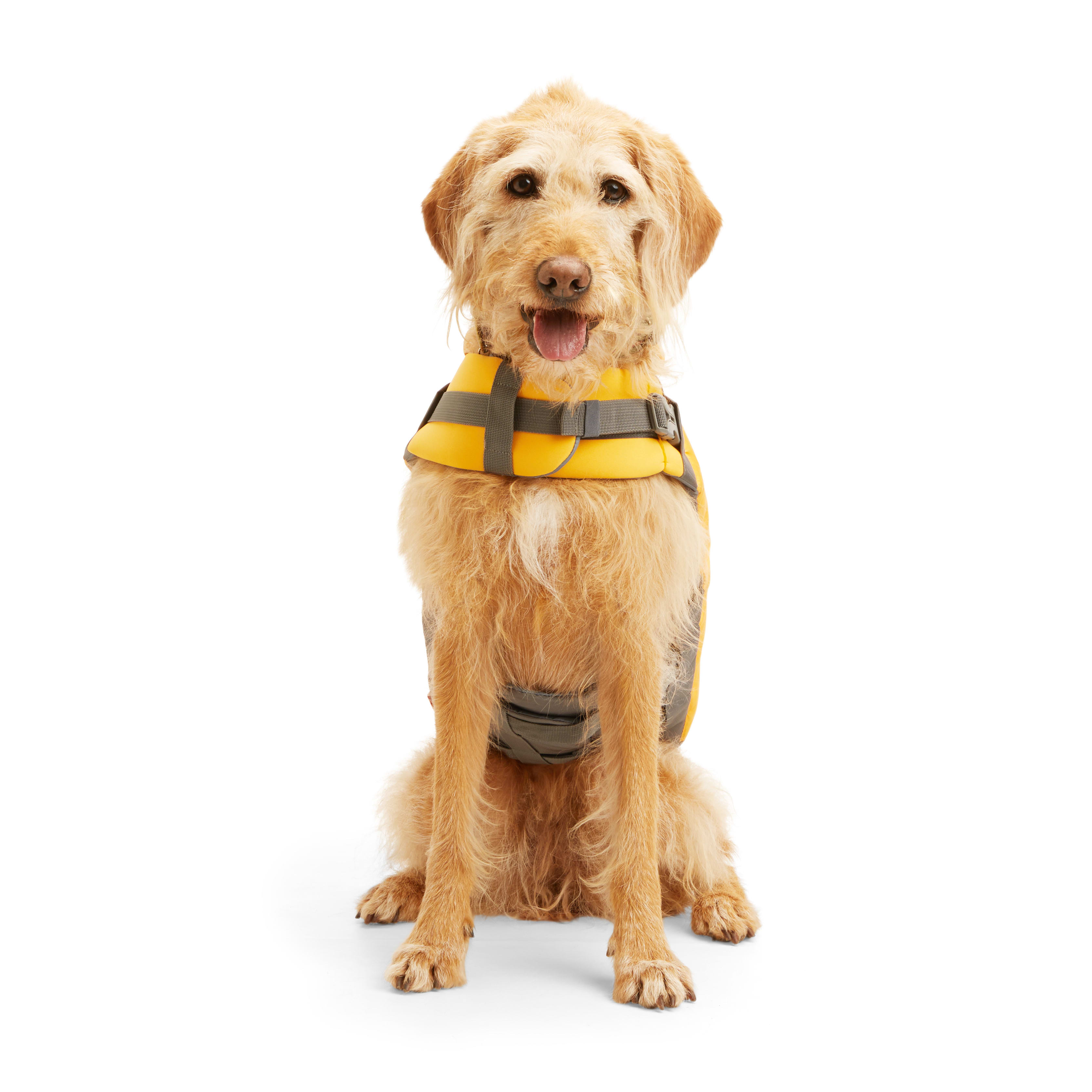 Reddy Yellow Flotation Dog Vest X Small