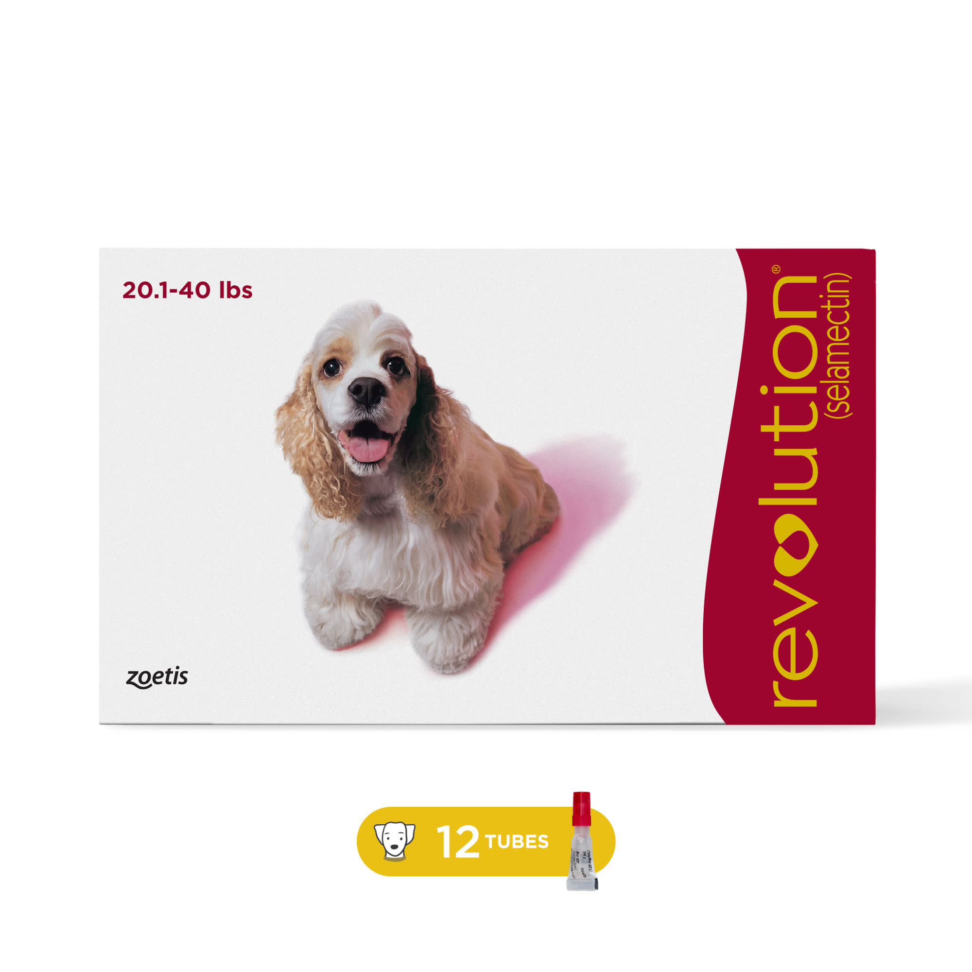 Get revoluti s fashion for dogs