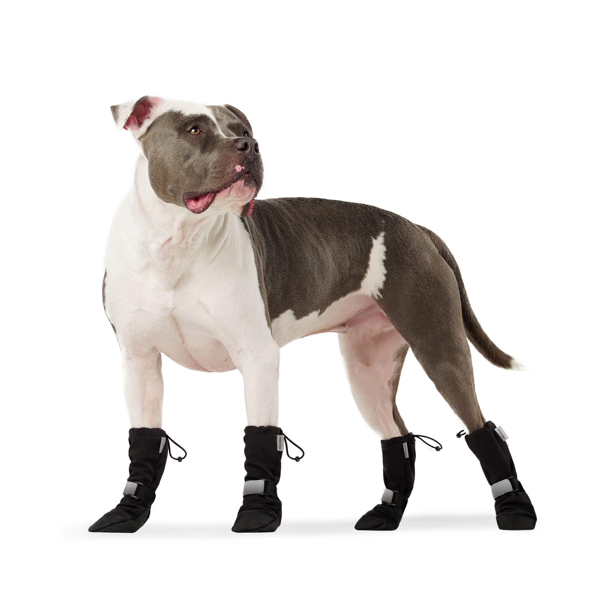 Canada Pooch Soft Shield Dog Boots XS Black Silver