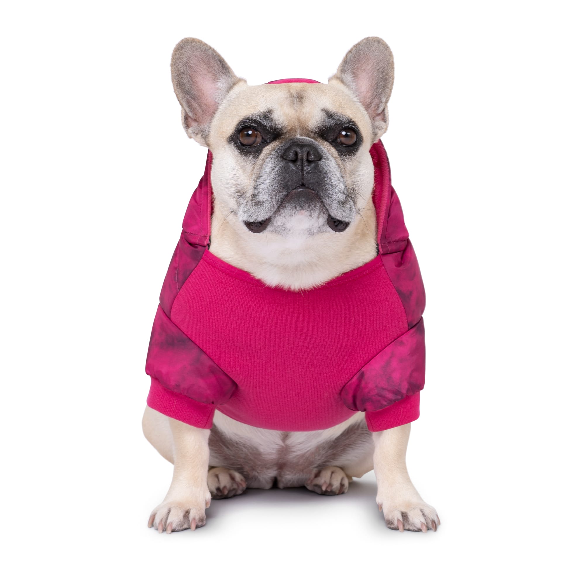 Canada pooch cheap jackets uk