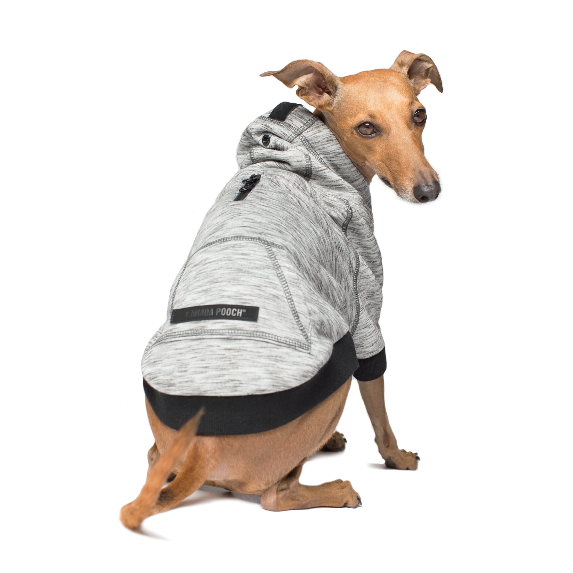 Hero Dog Hoodie Canada Pooch Pullover Spacedye Dog Sweater